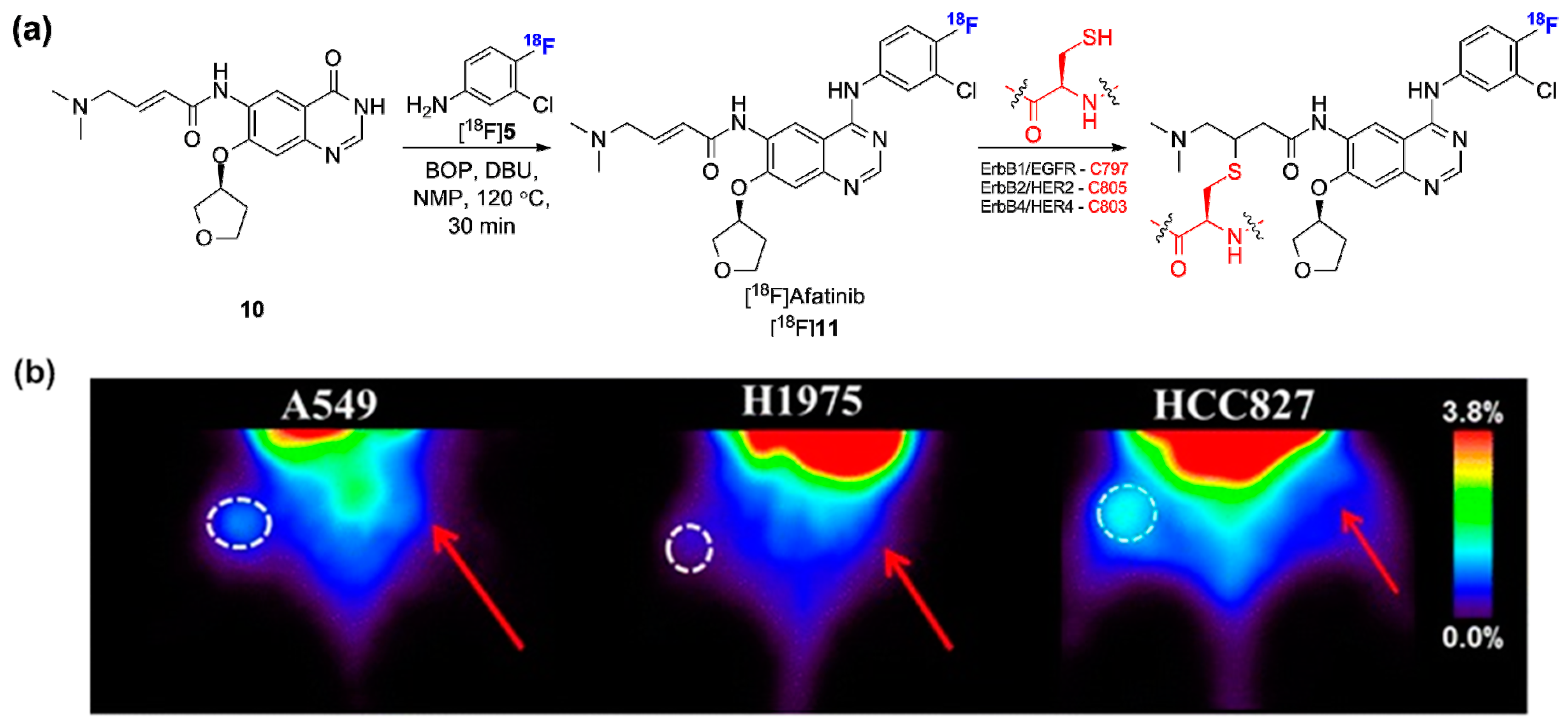 Molecules 20 19816 g005