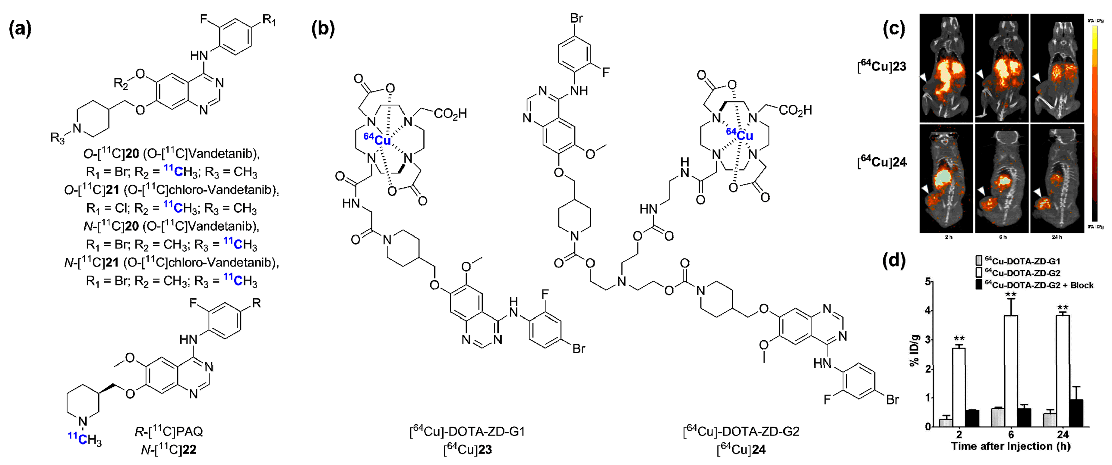 Molecules 20 19816 g008