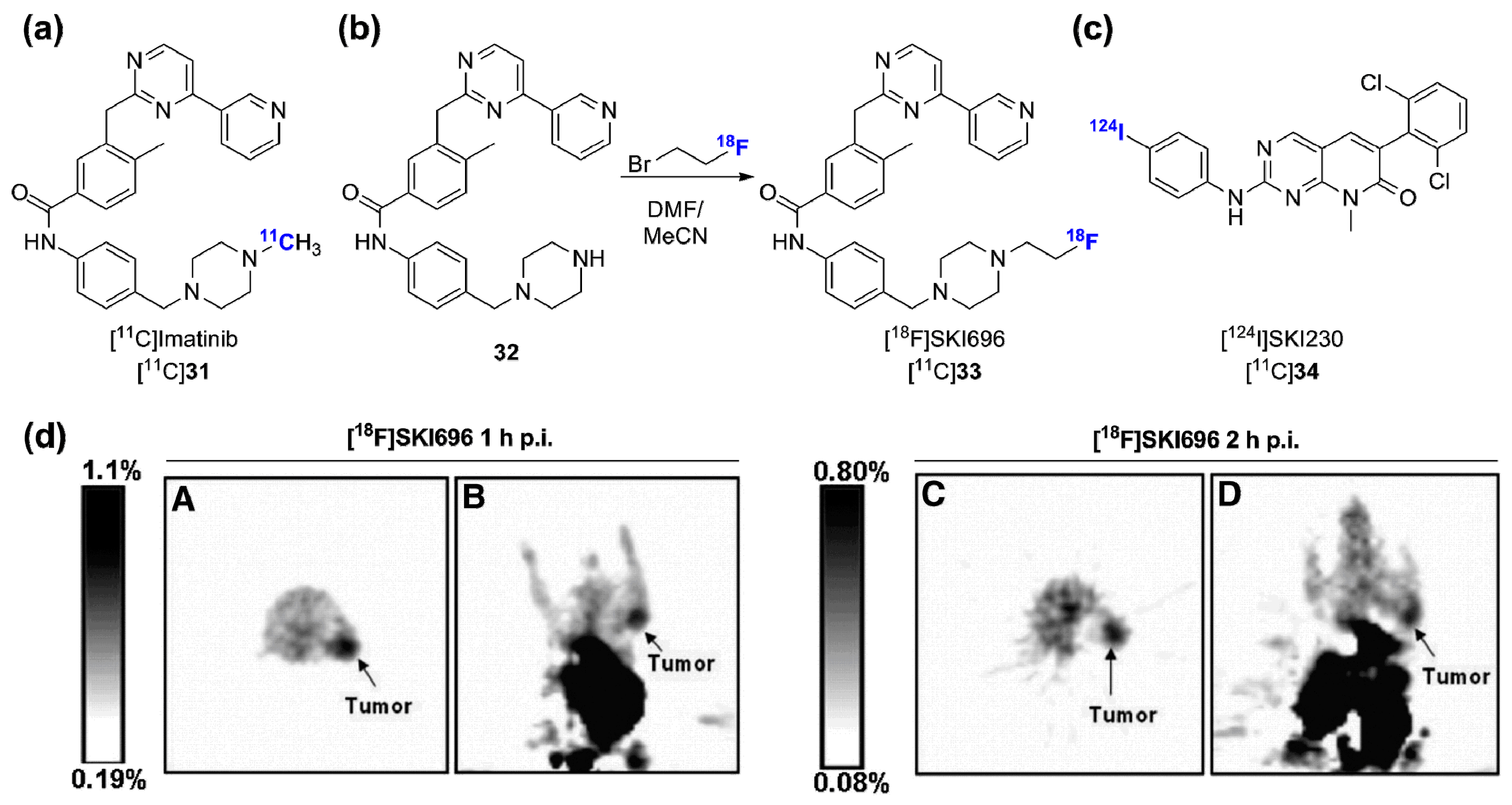 Molecules 20 19816 g010