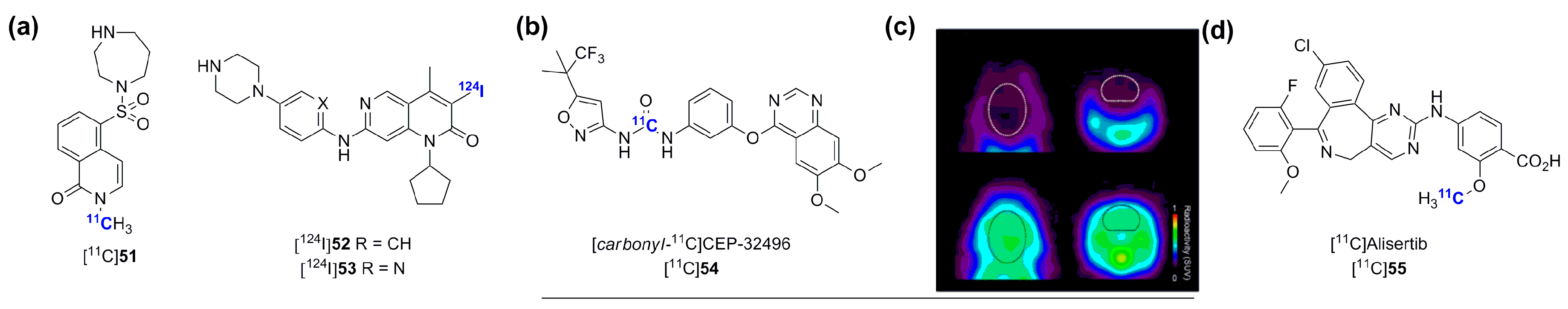 Molecules 20 19816 g015