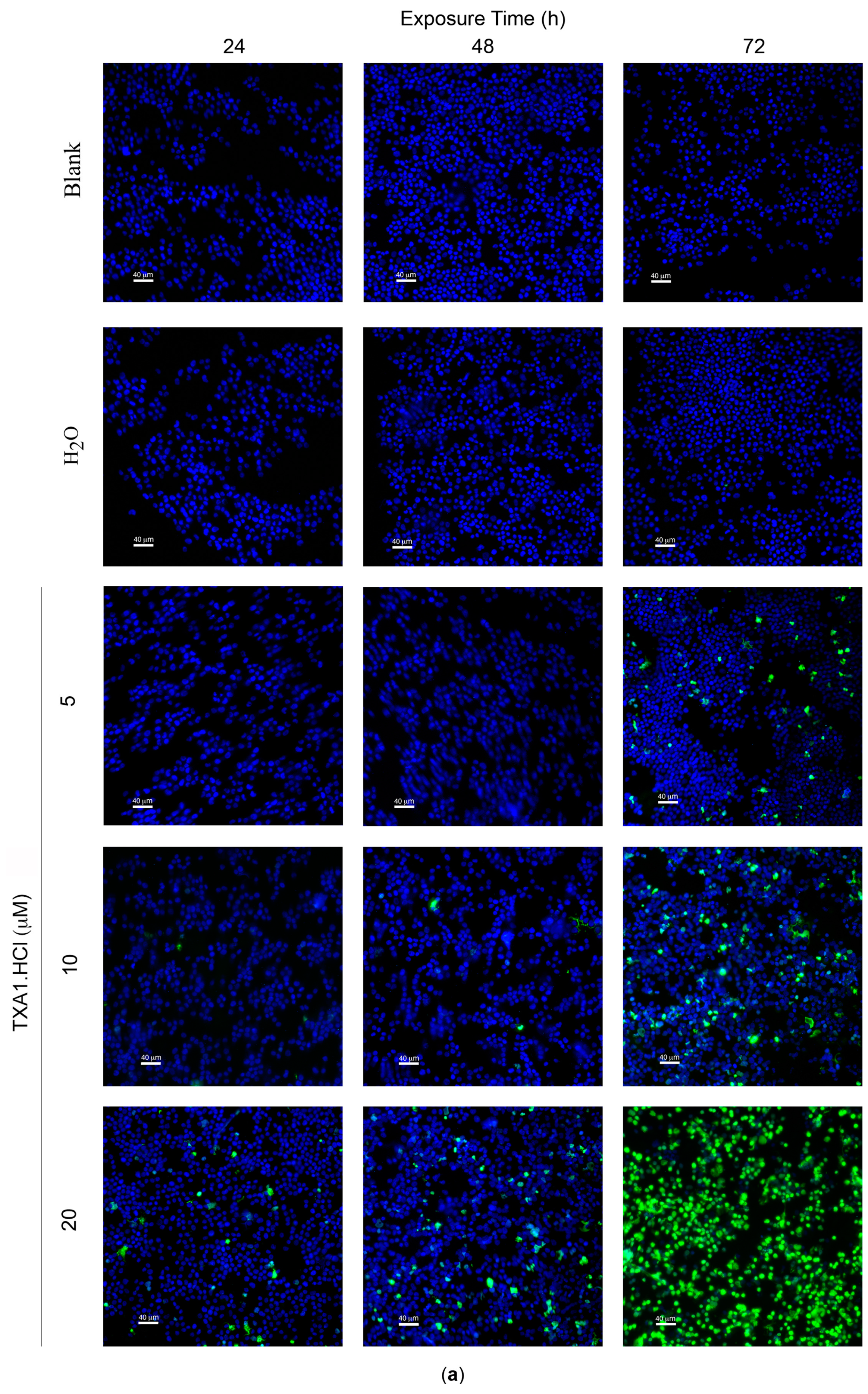 Molecules 21 00081 g005a