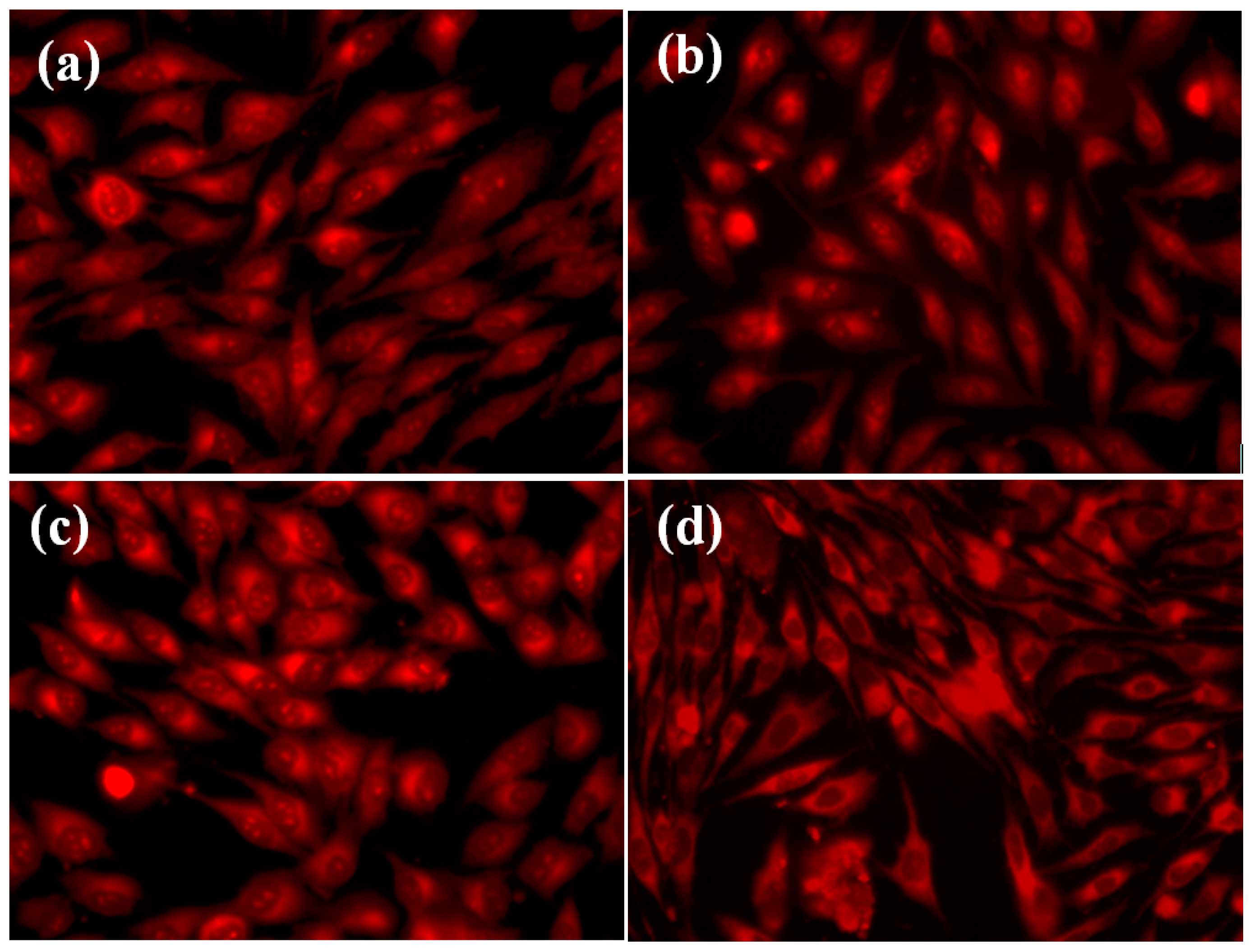 Molecules 21 00115 g007