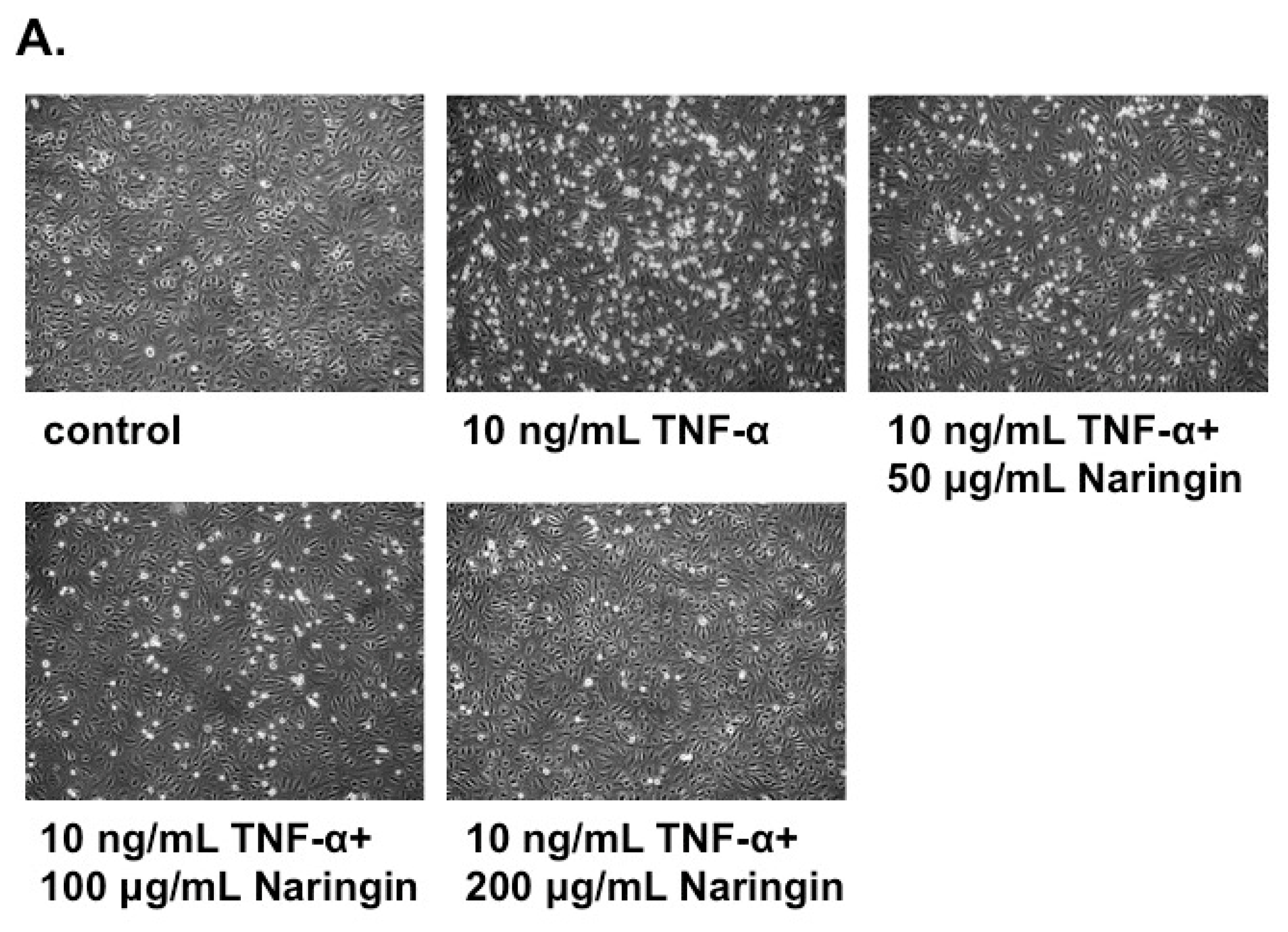 Molecules 21 00195 g002a
