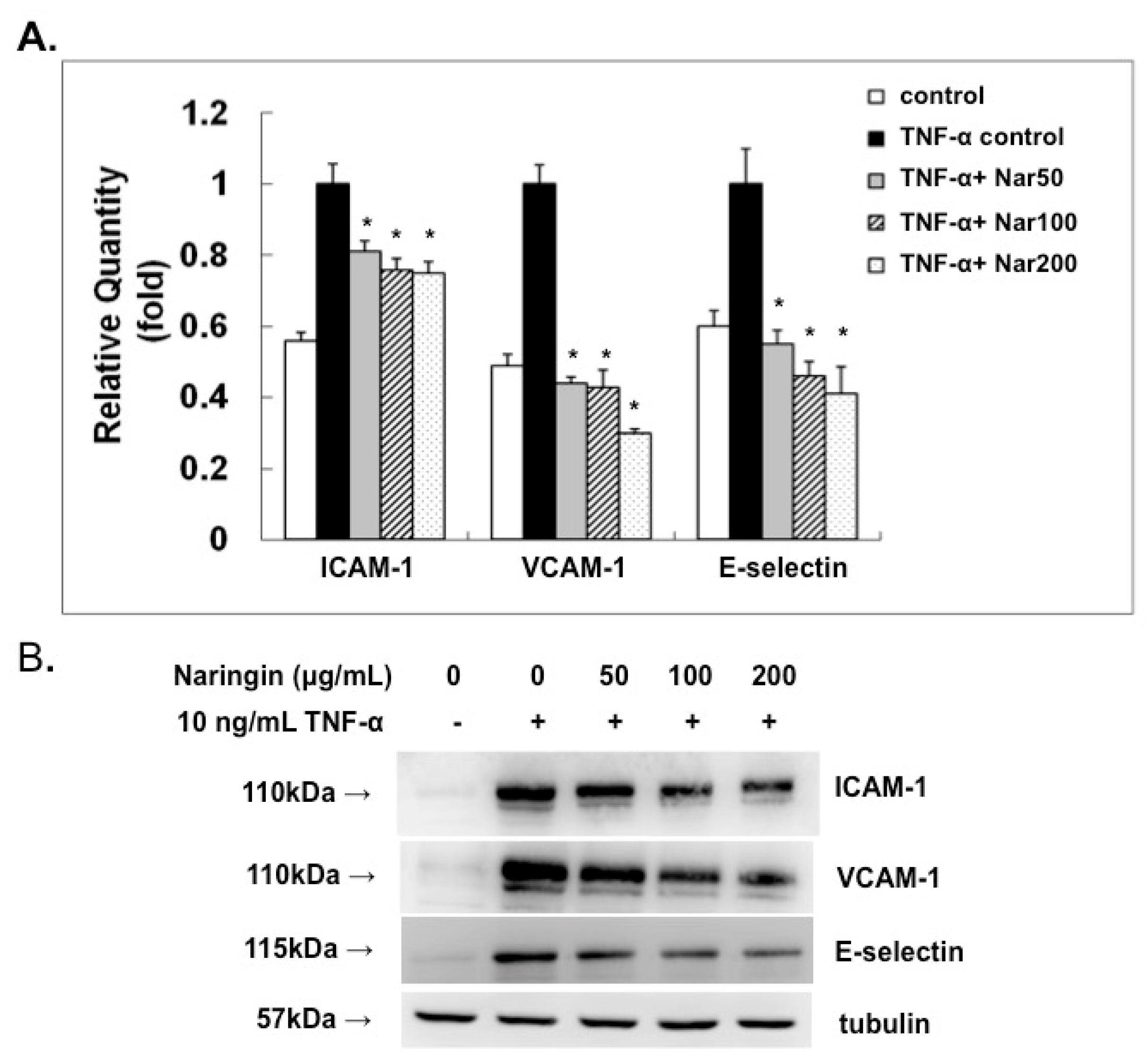 Molecules 21 00195 g003a