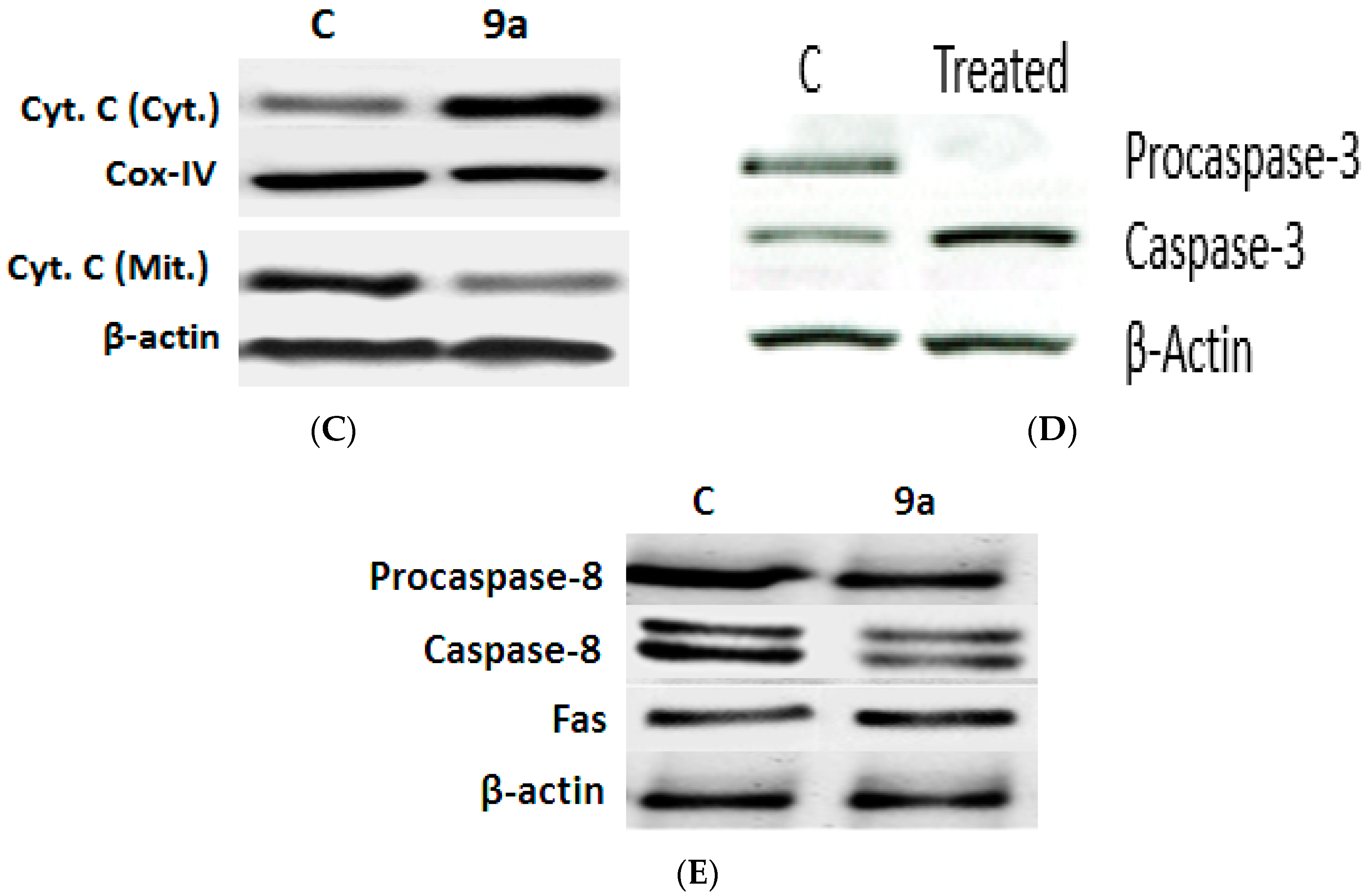 Molecules 21 00230 g005b