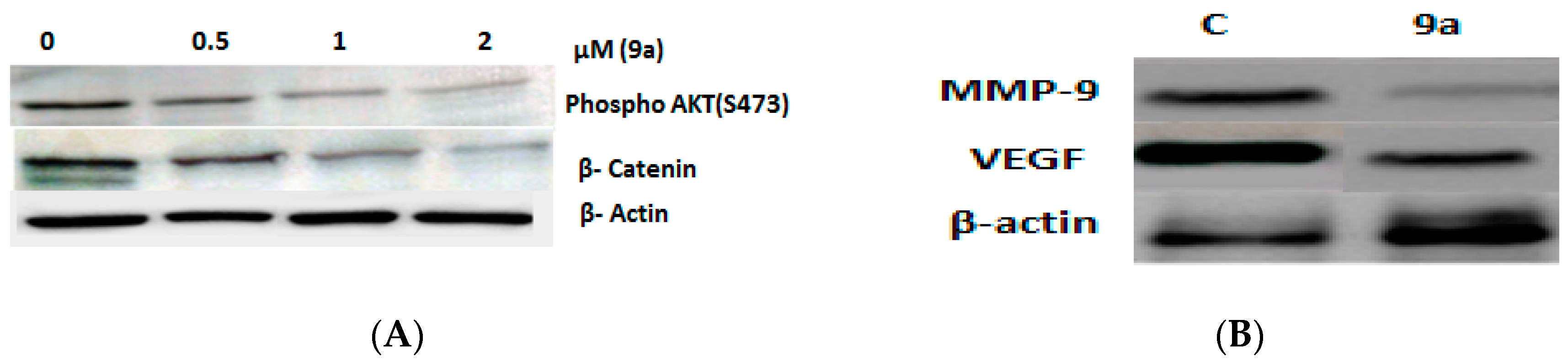 Molecules 21 00230 g006