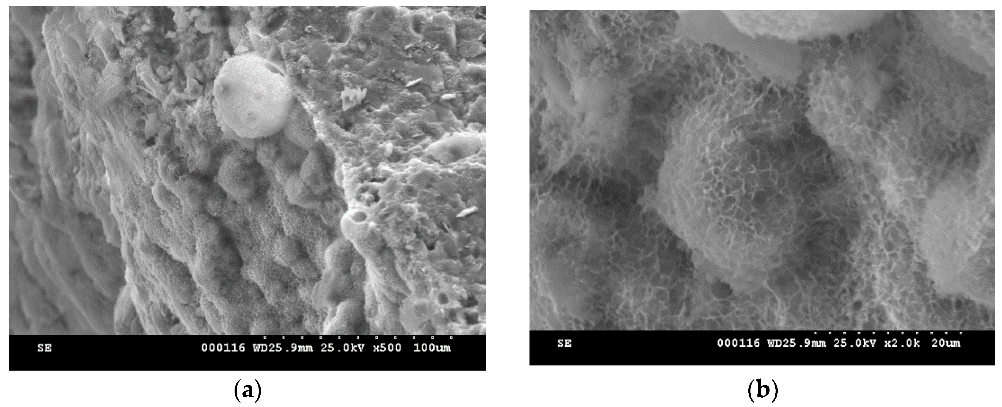 Molecules 21 00233 g012a