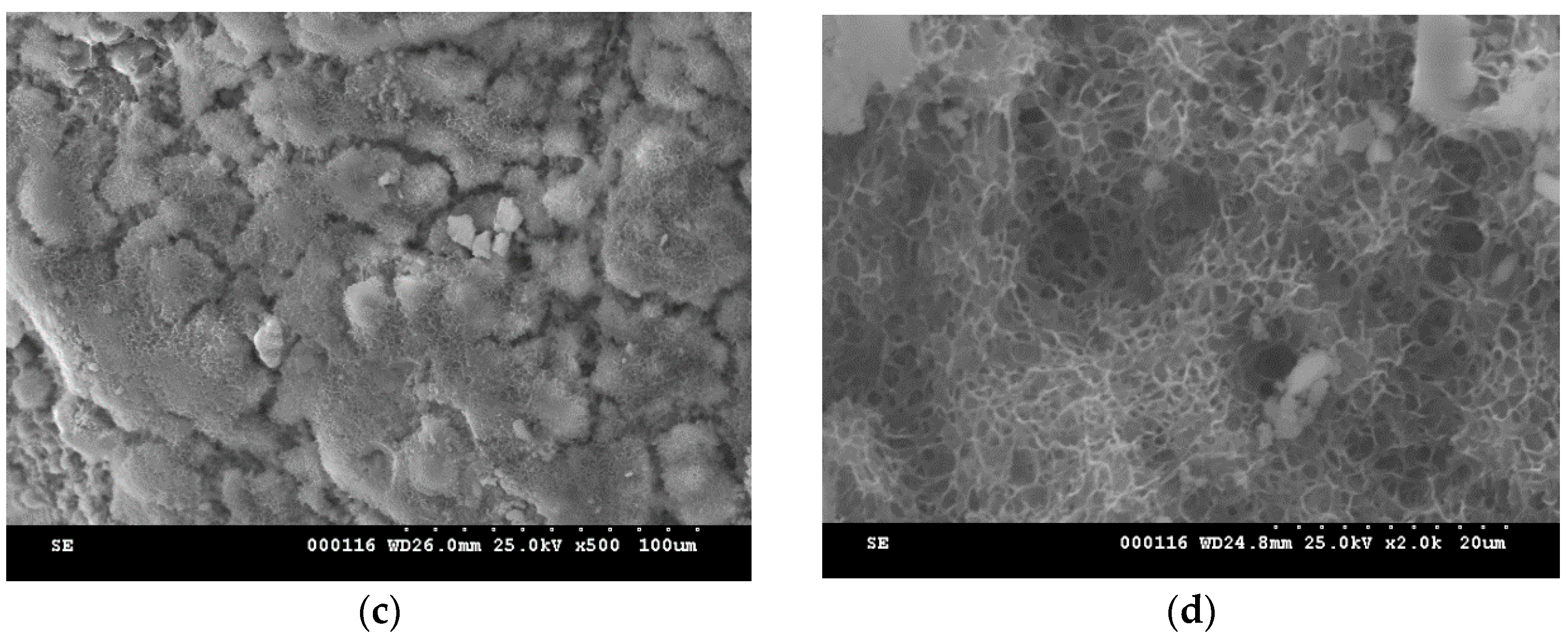 Molecules 21 00233 g012b