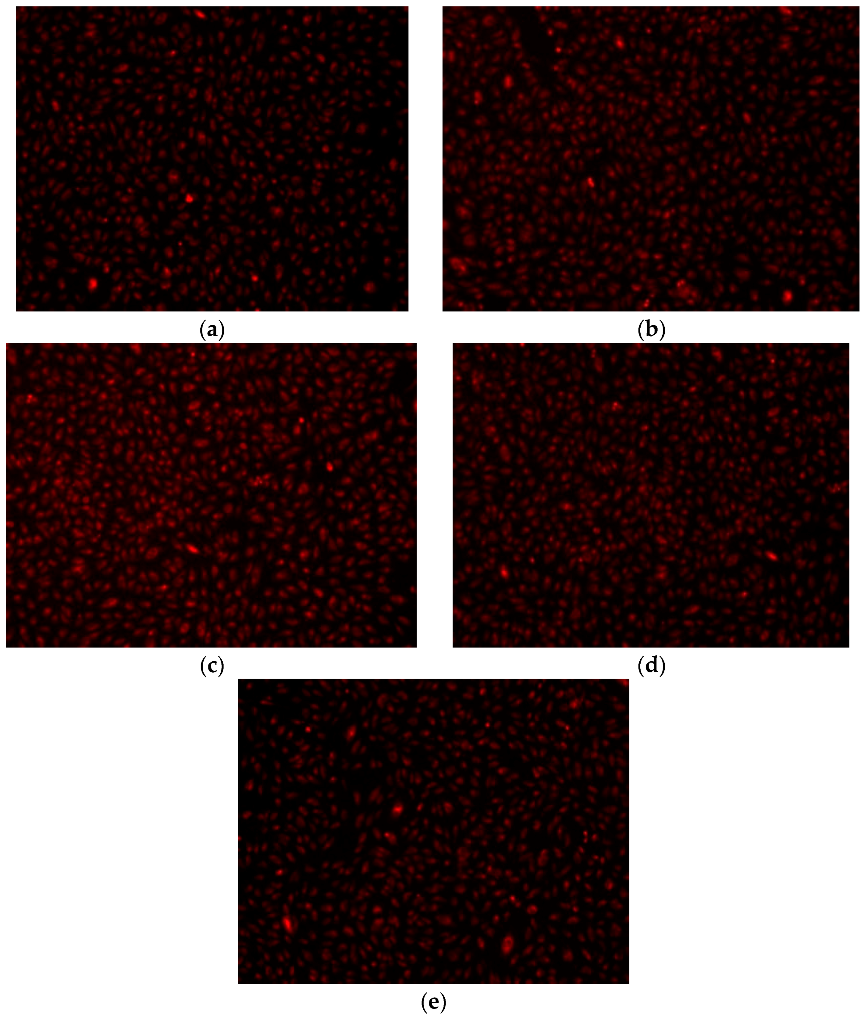 Molecules 21 00233 g014