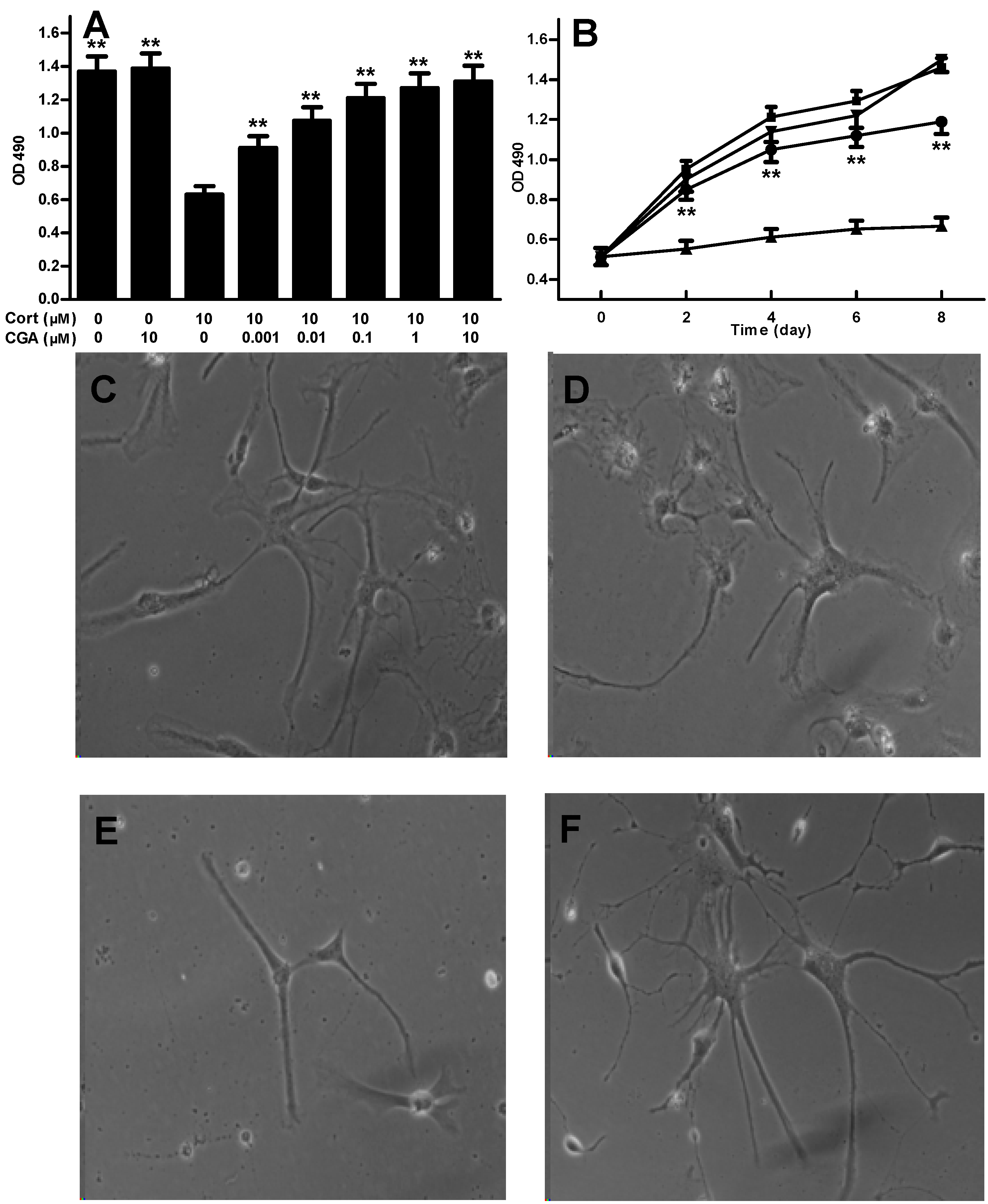 Molecules 21 00260 g001