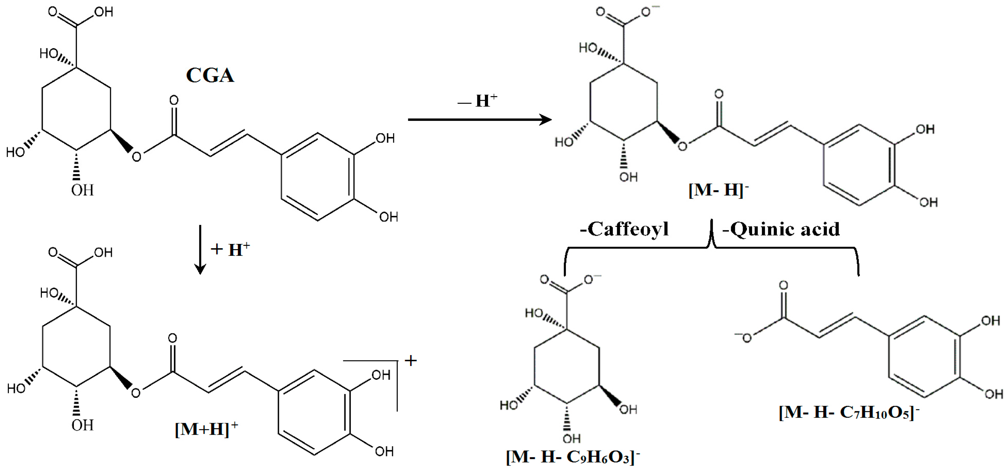 Molecules 21 00260 g010