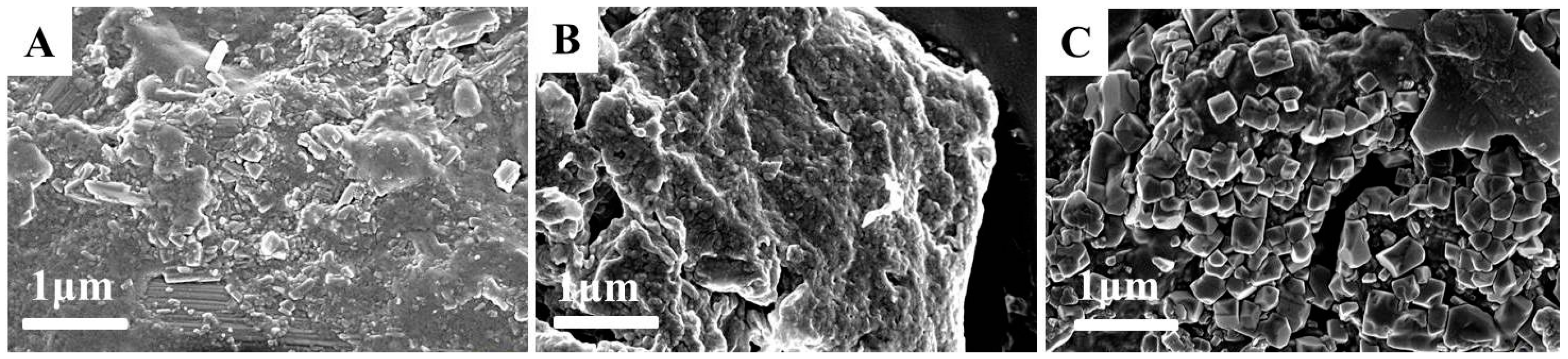 Molecules 21 00282 g005
