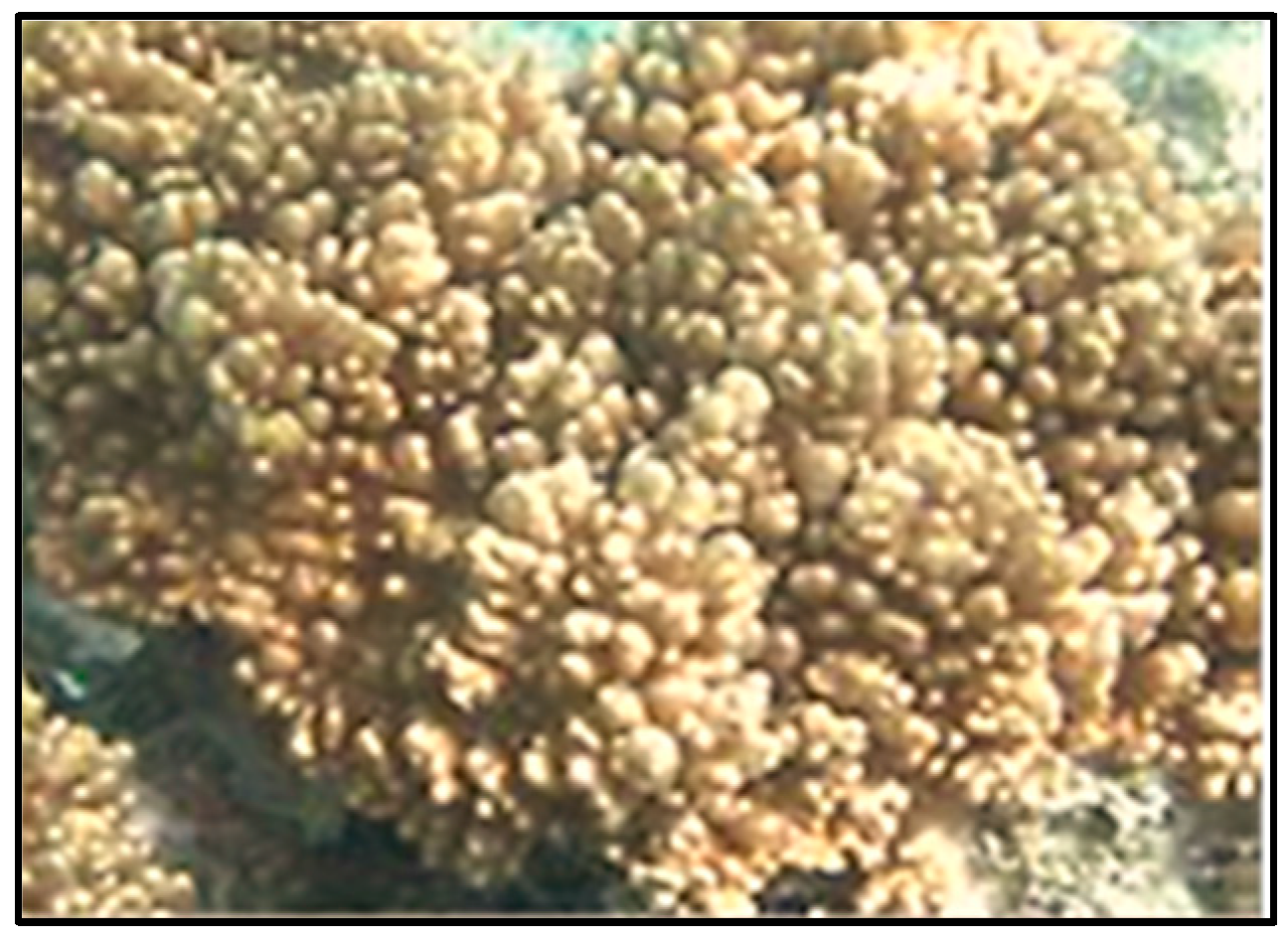 Molecules 21 00308 g001