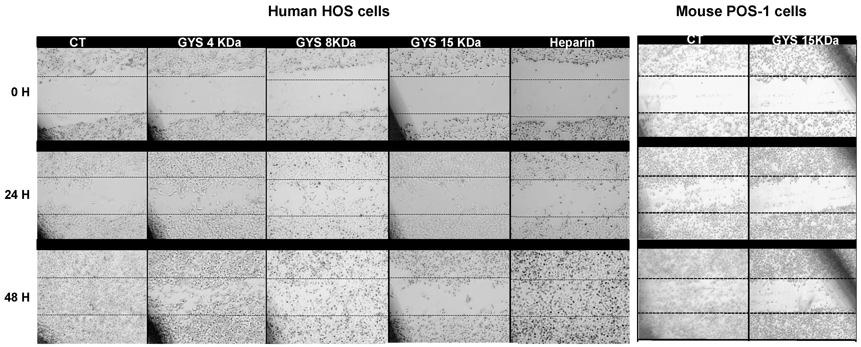 Molecules 21 00309 g002
