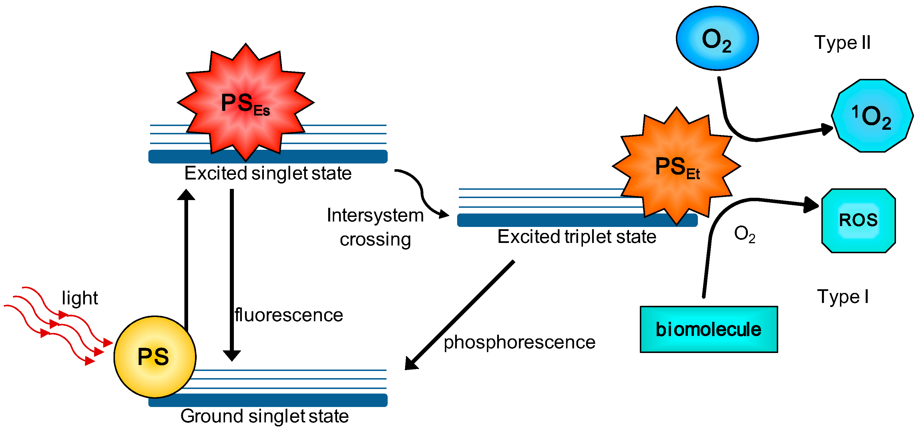 Molecules  Free FullText  NanotechnologyBased Drug Delivery Systems