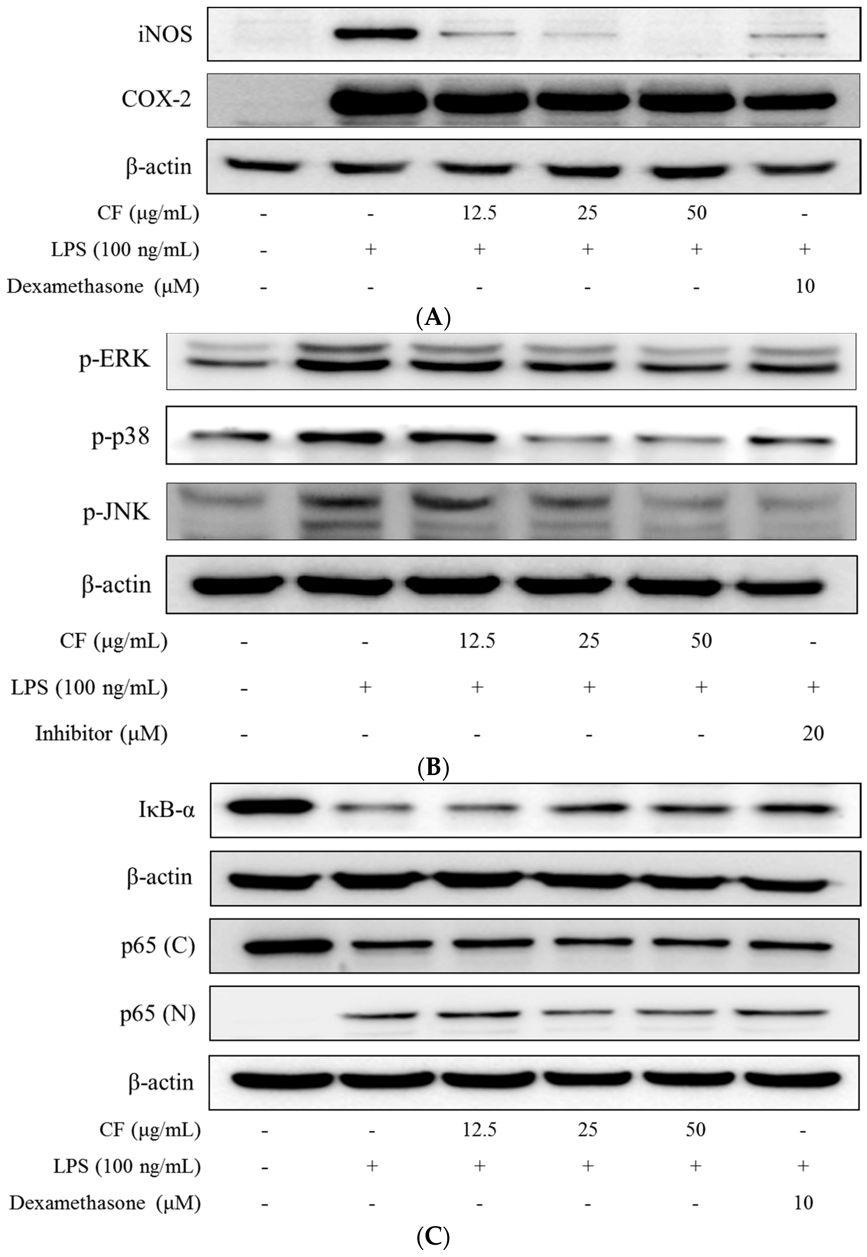 Molecules 21 00392 g004a