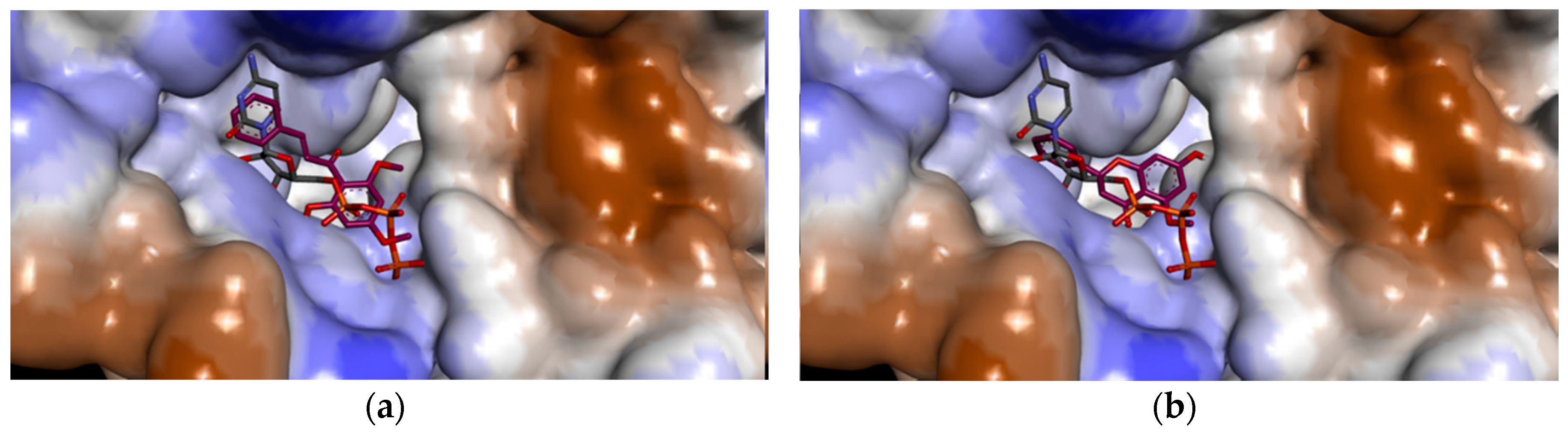 Molecules 21 00417 g004