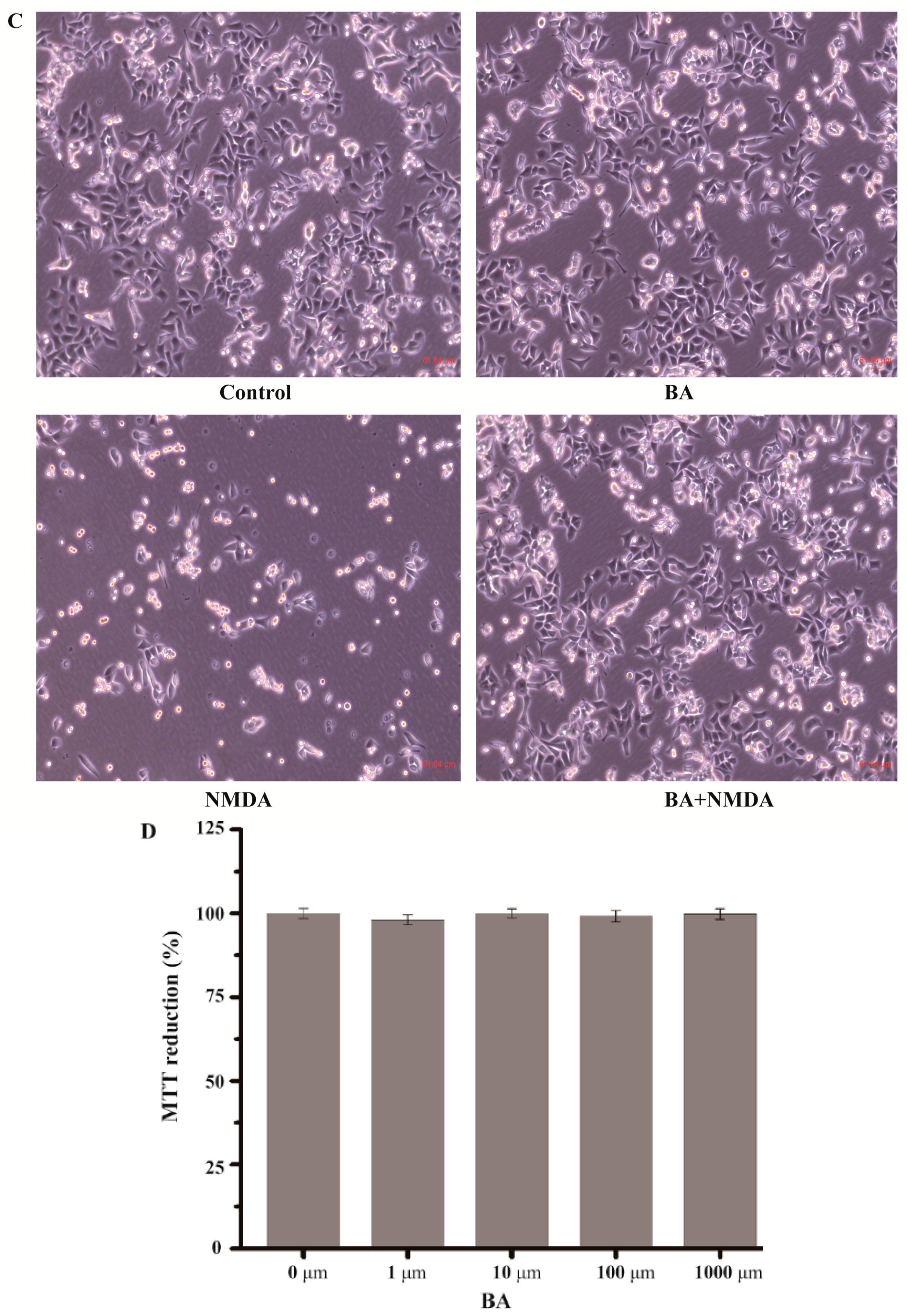 Molecules 21 00418 g003b