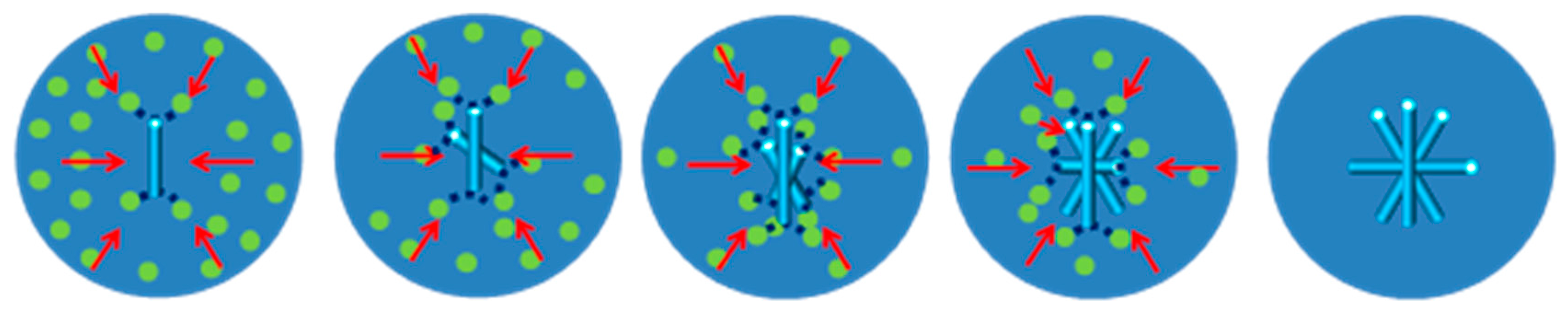Molecules 21 00458 g012
