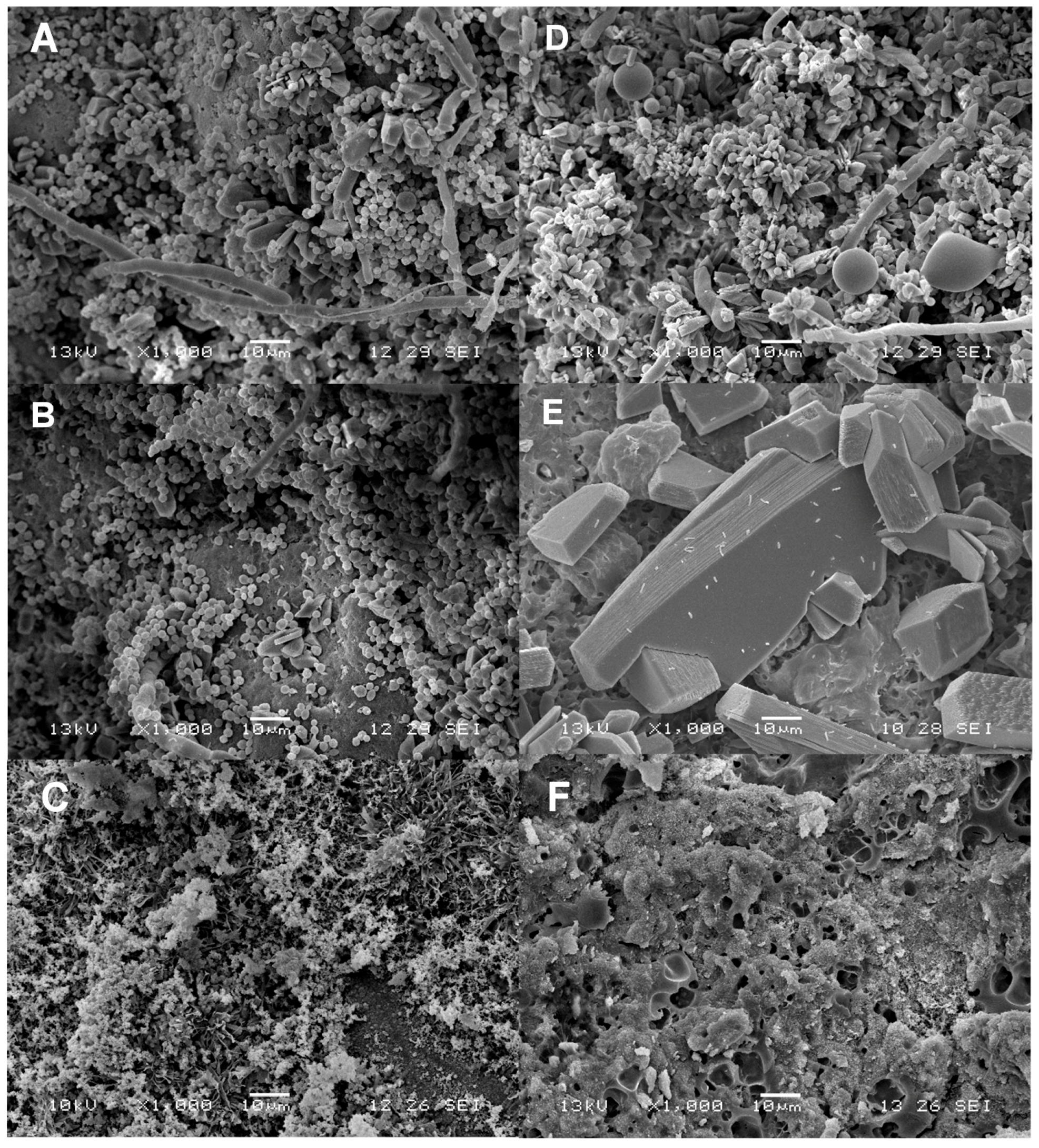 Molecules 21 00469 g004