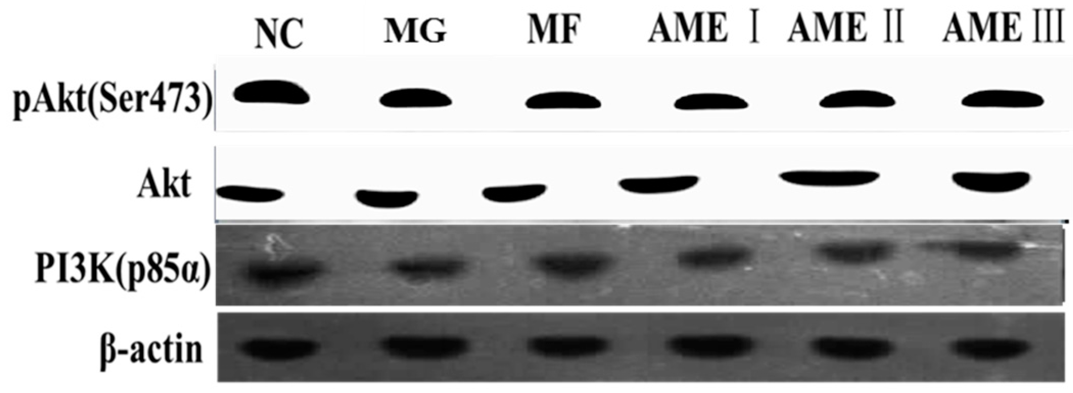Molecules 21 00624 g001