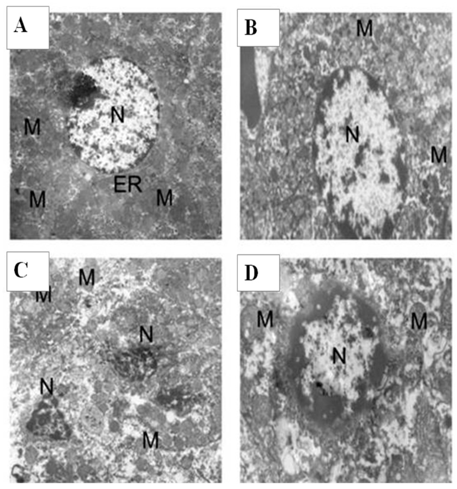 Molecules 21 00632 g005