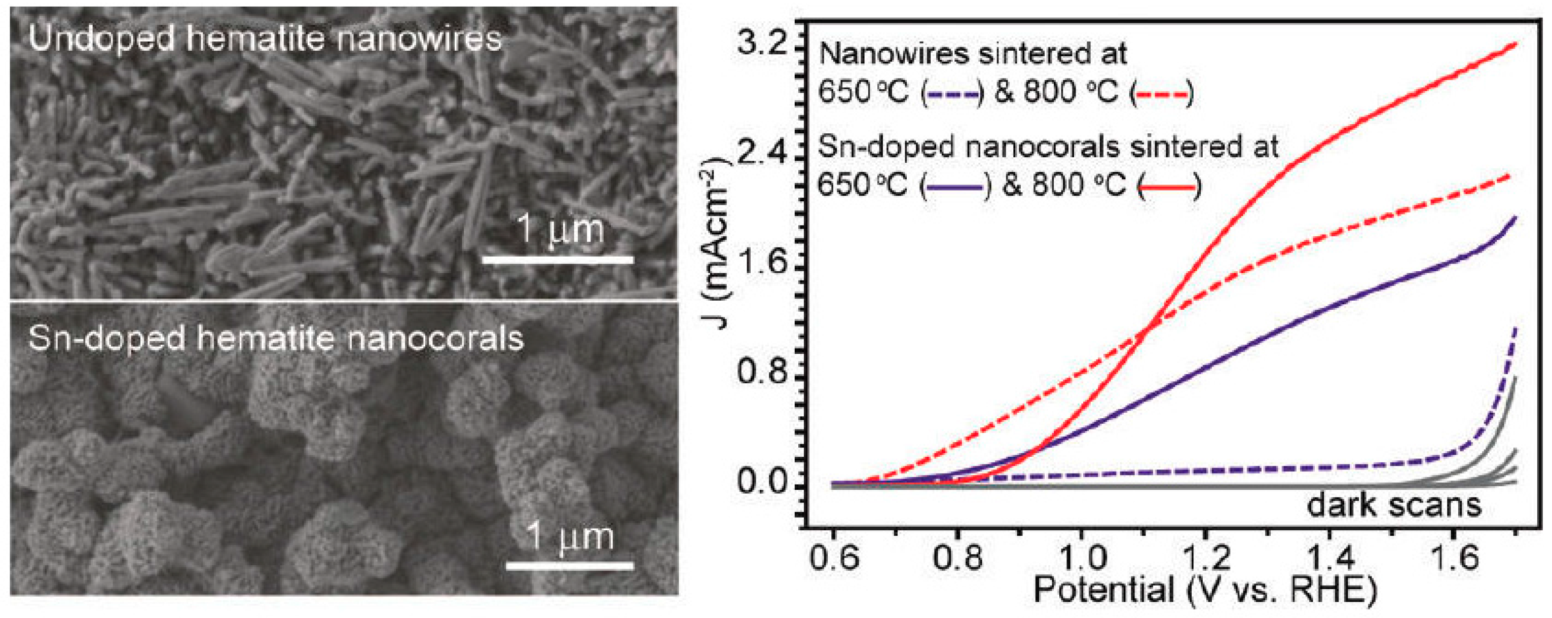 Molecules 21 00868 g004