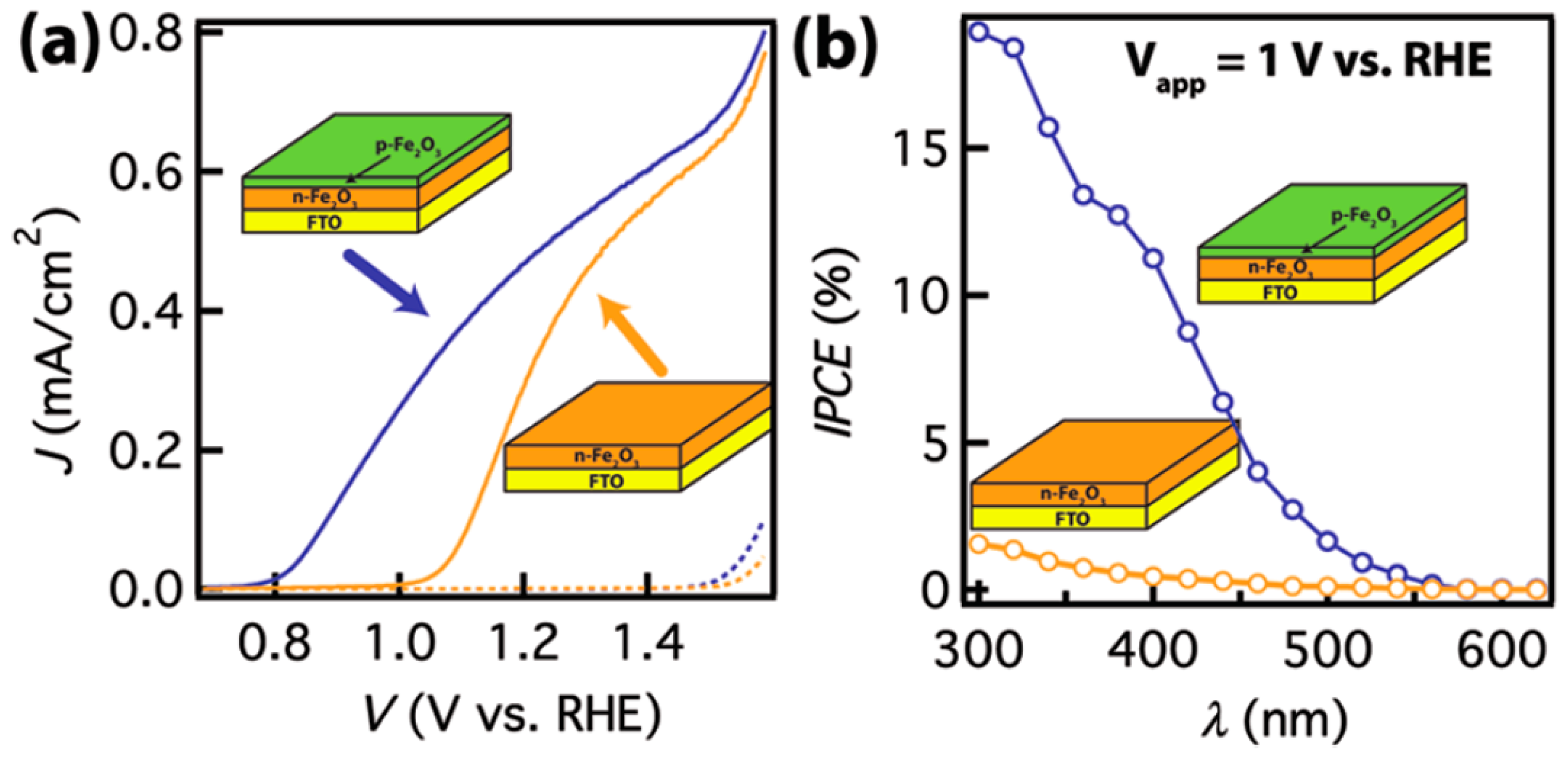 Molecules 21 00868 g005