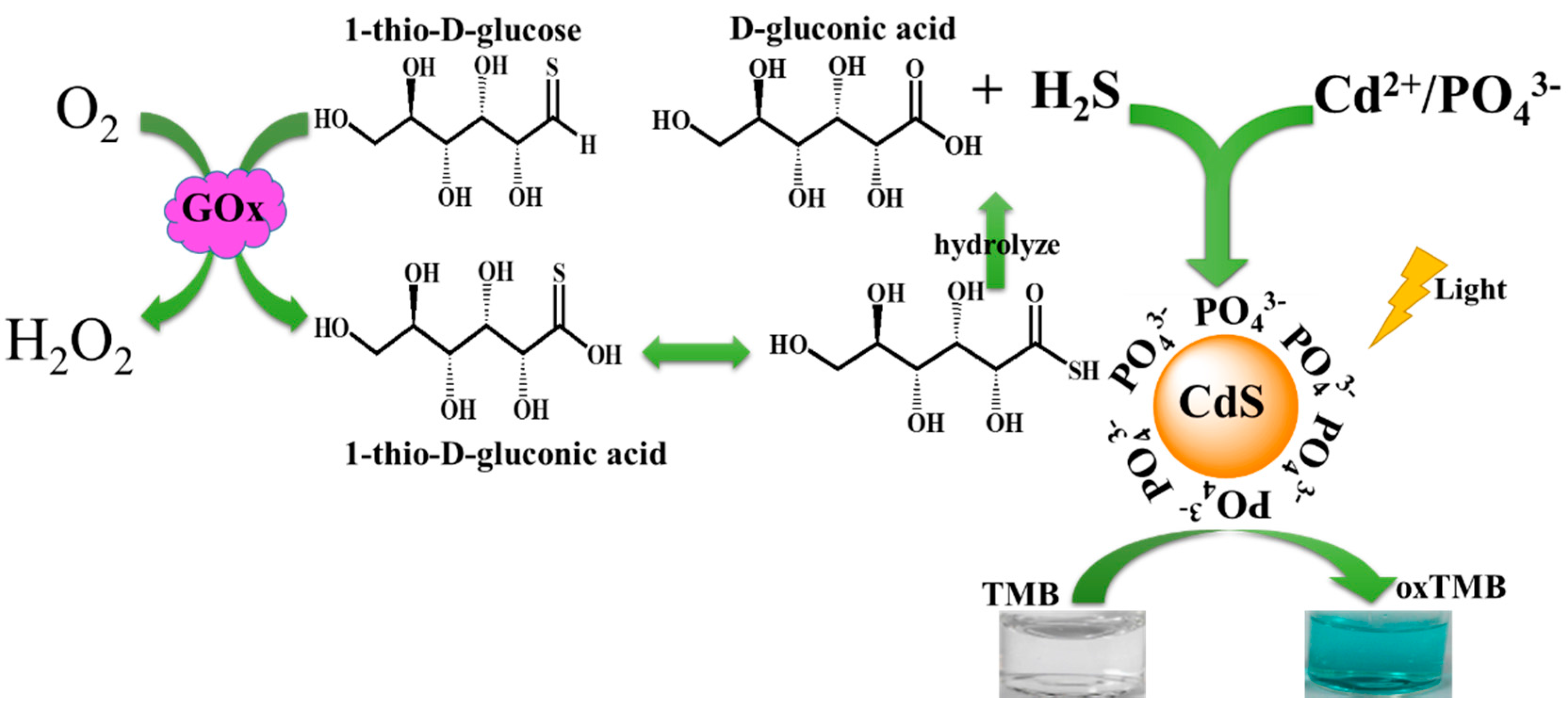 Molecules 21 00902 sch002