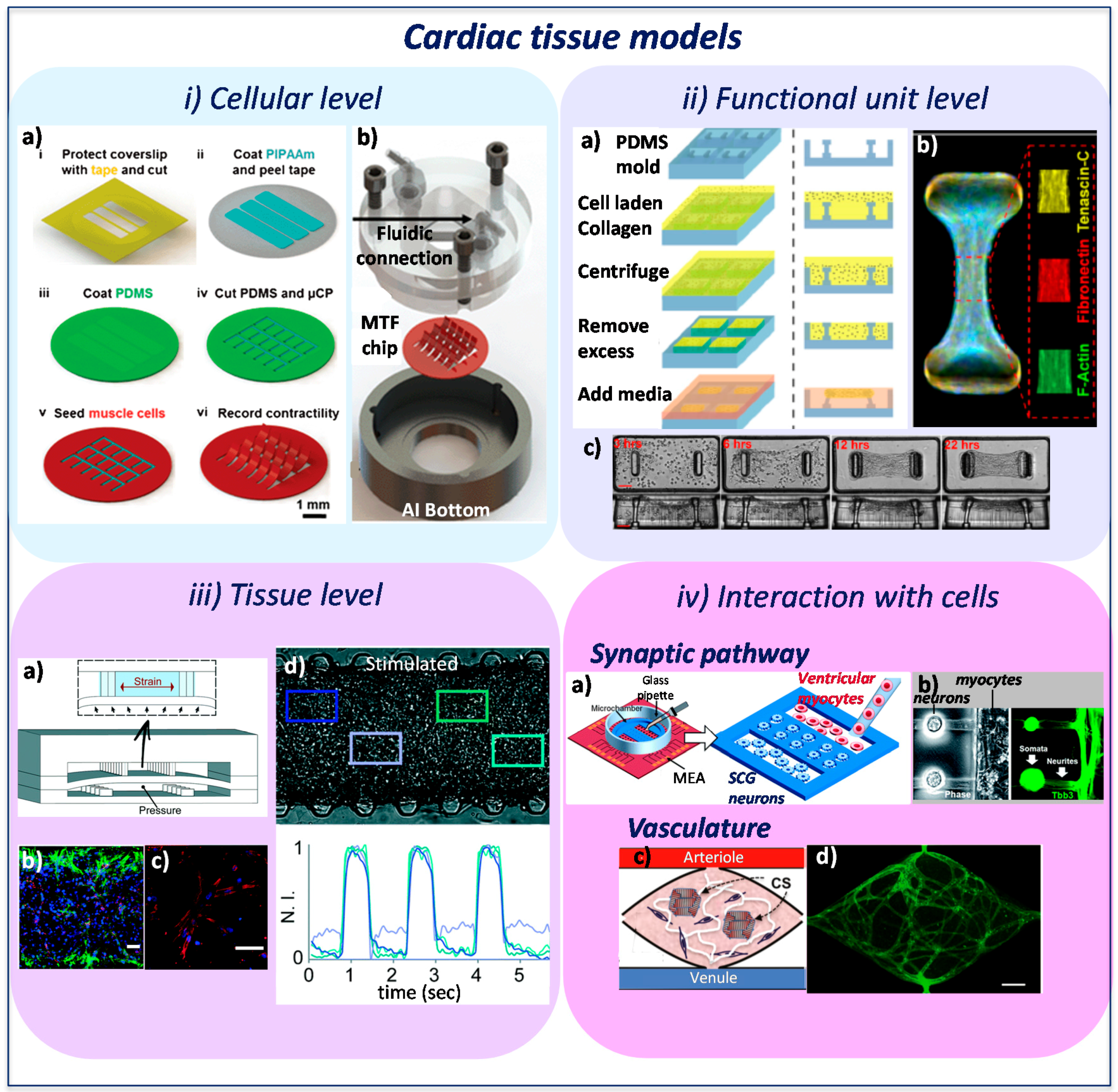 Nanofiber technology for tissue engineering