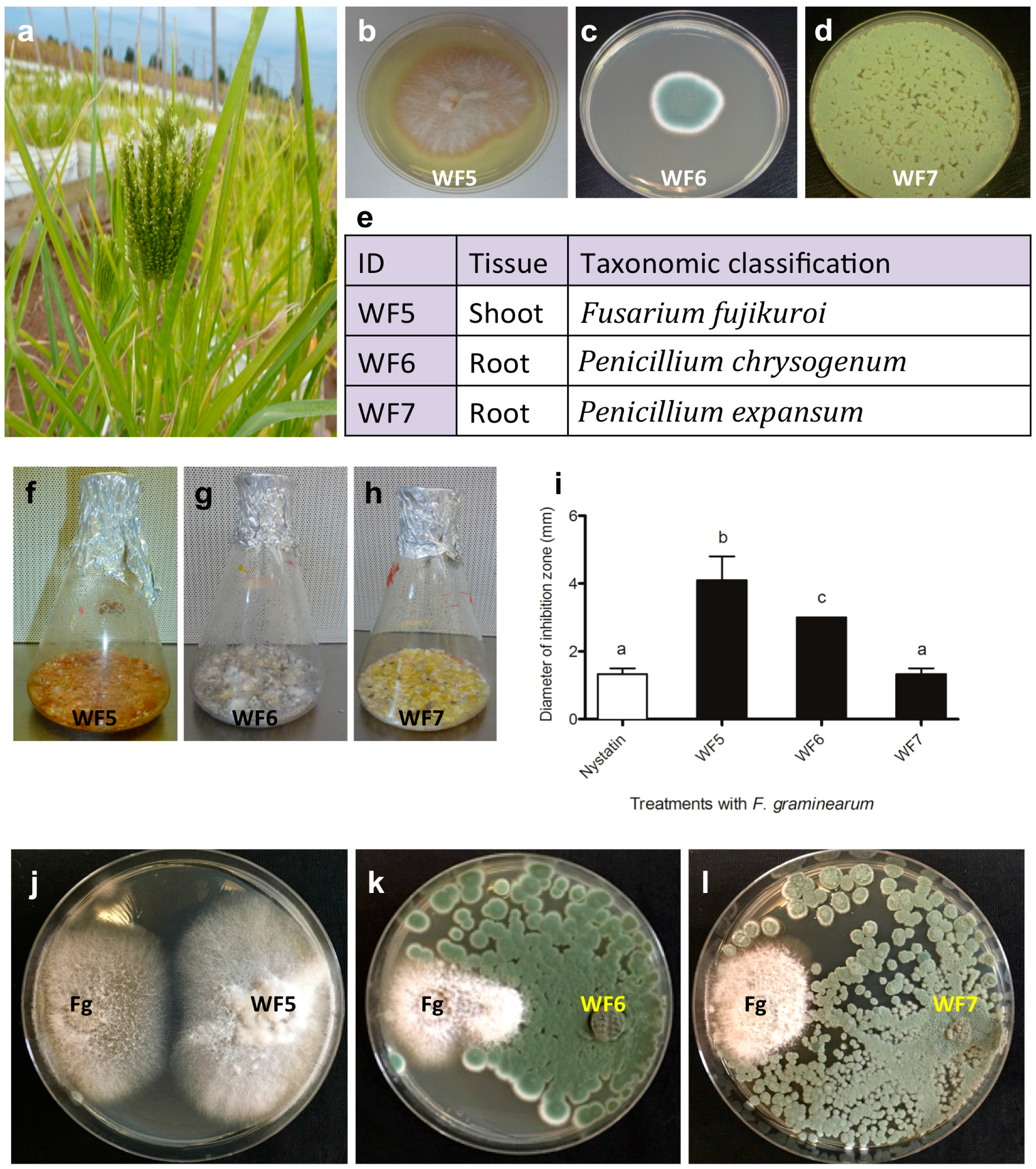 Molecules 21 01171 g001