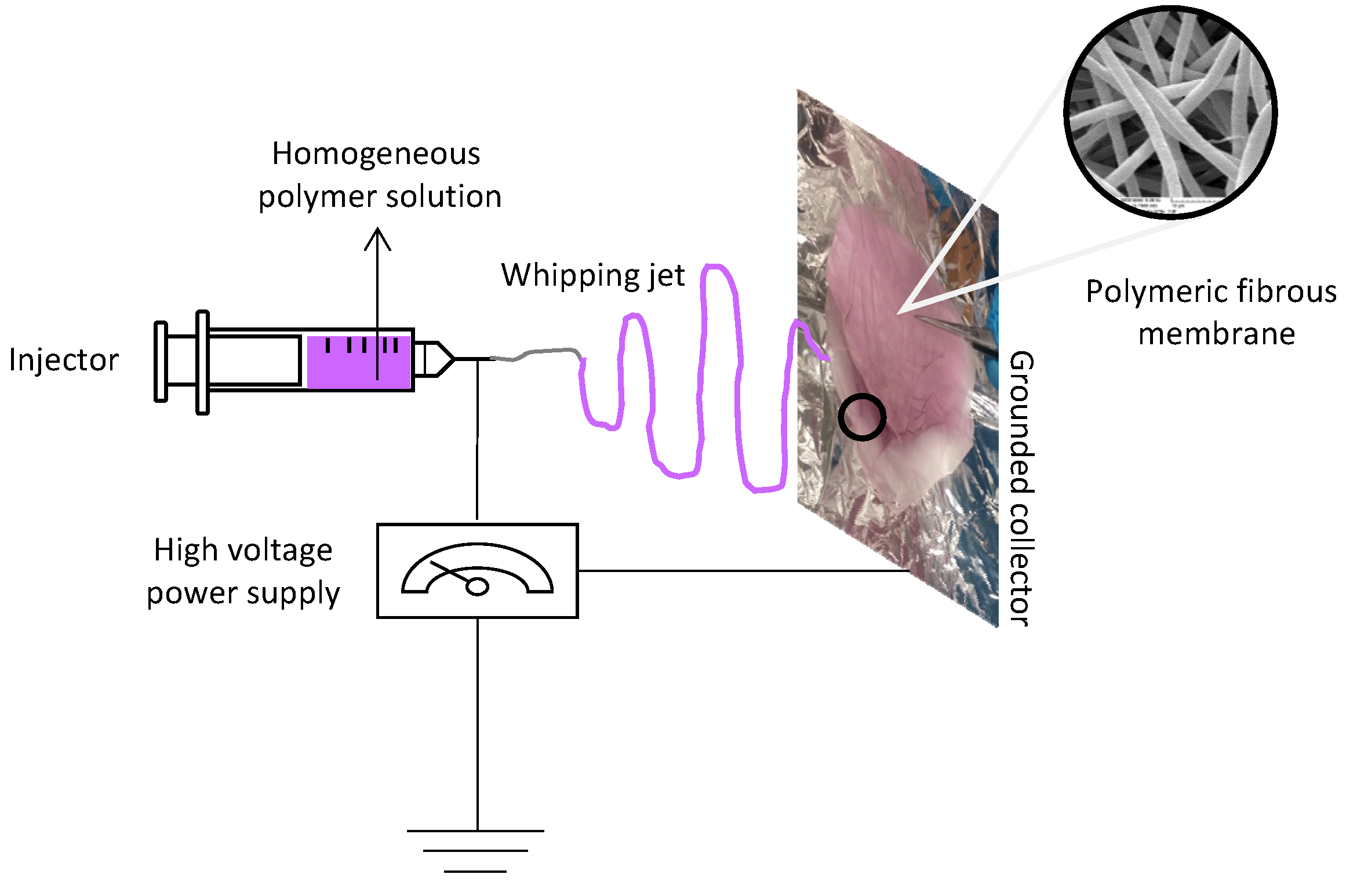 Molecules 21 01218 g003
