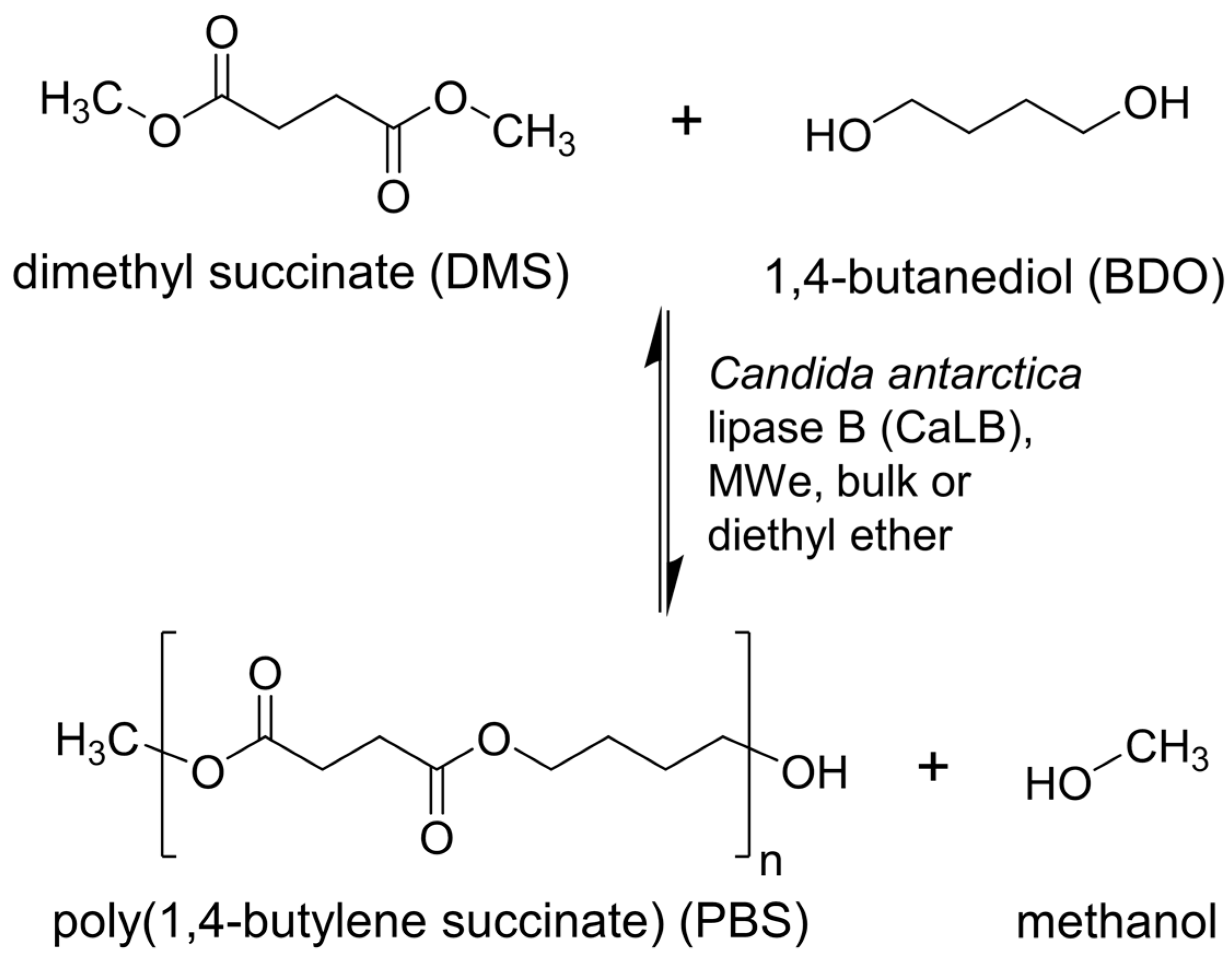 Molecules Free FullText On the Effect of Microwave Energy on