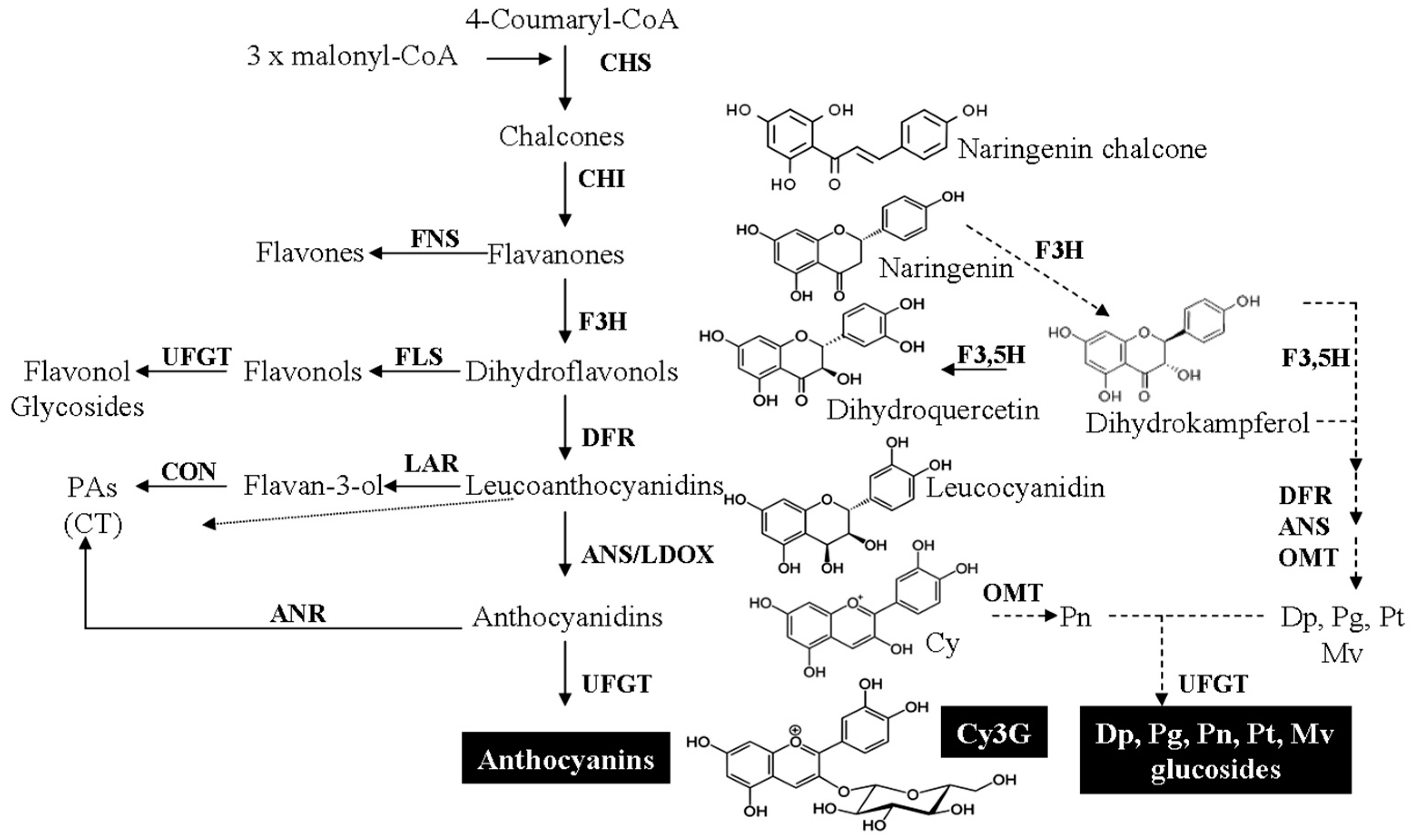 Molecules 21 01264 g002