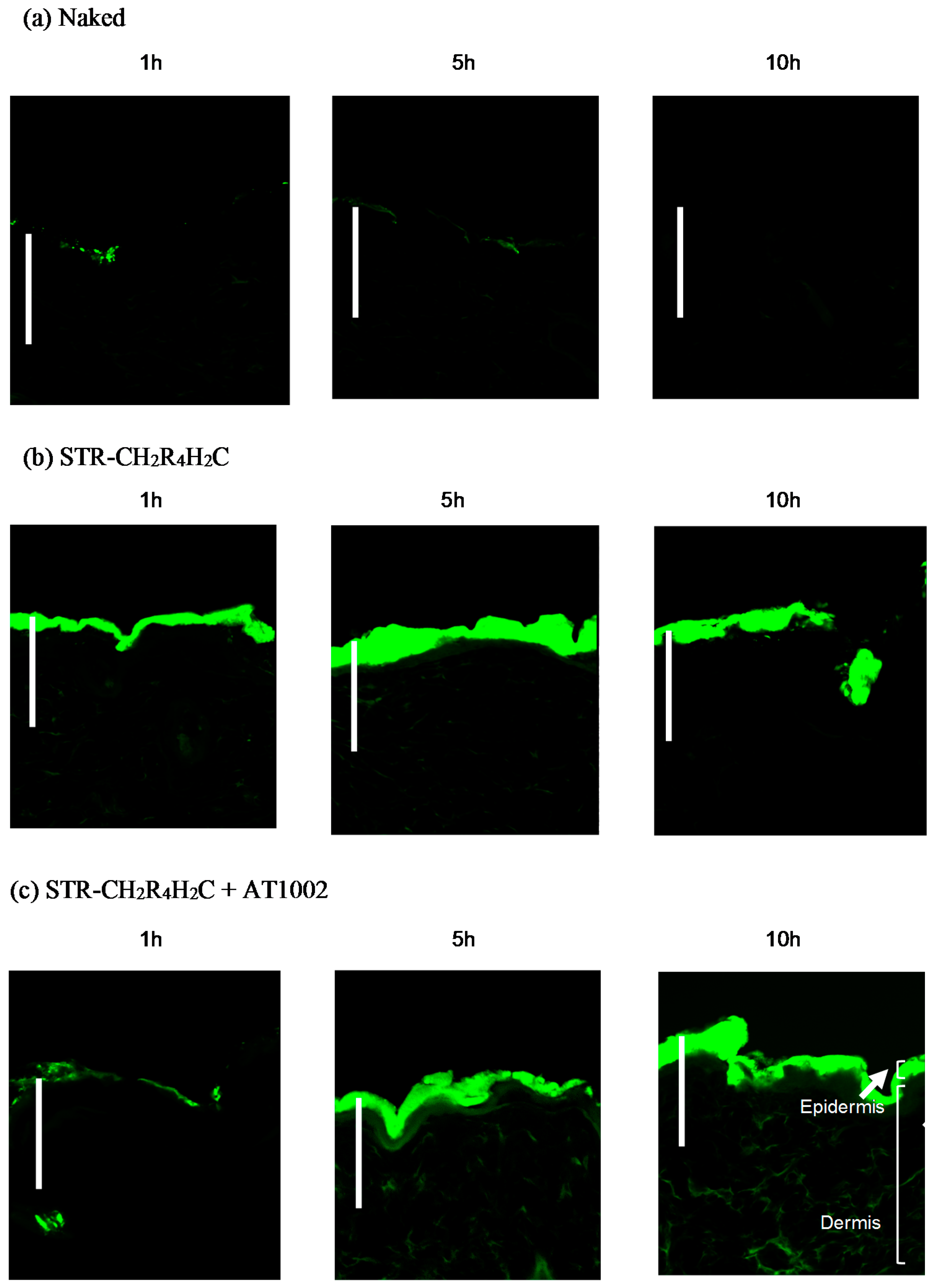 Molecules 21 01279 g001