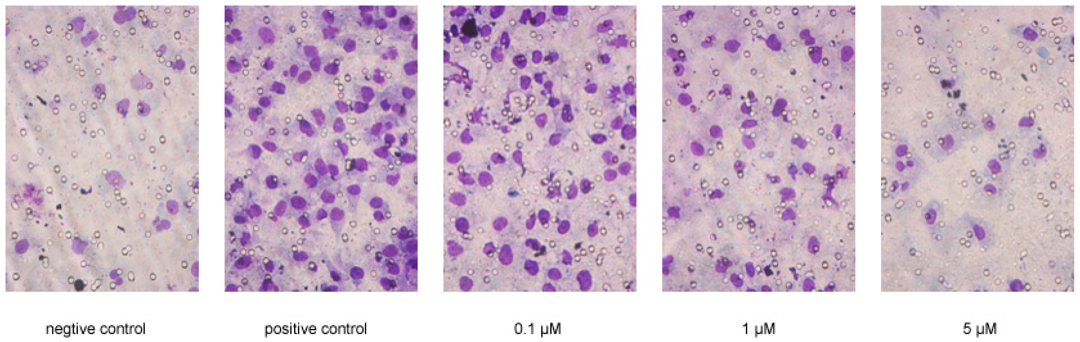 Molecules 21 01283 g004