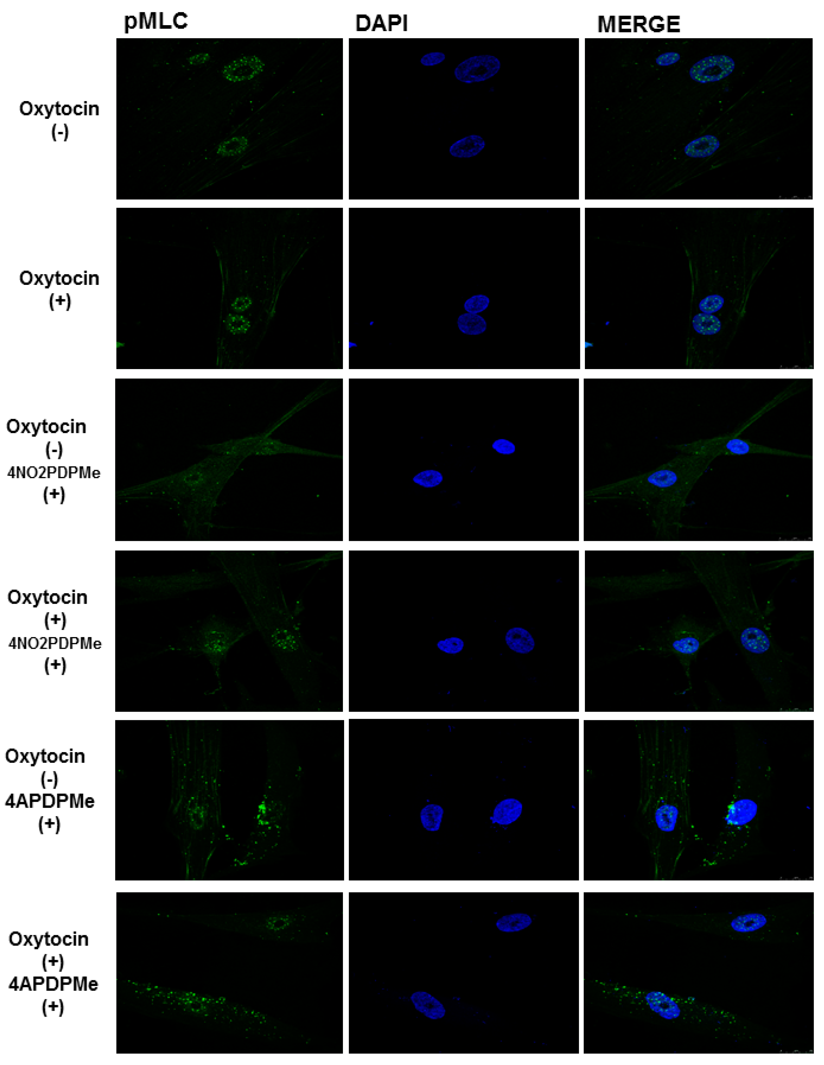 Molecules 21 01332 g006