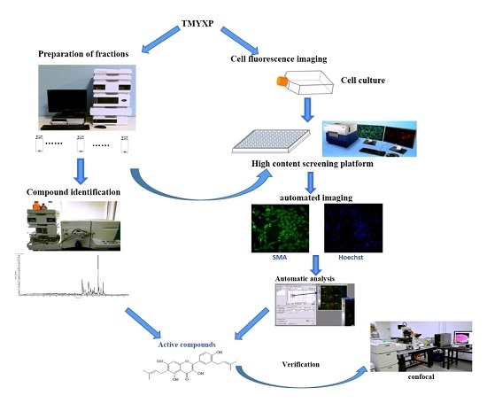 molecules free full text a high content screening high content screening