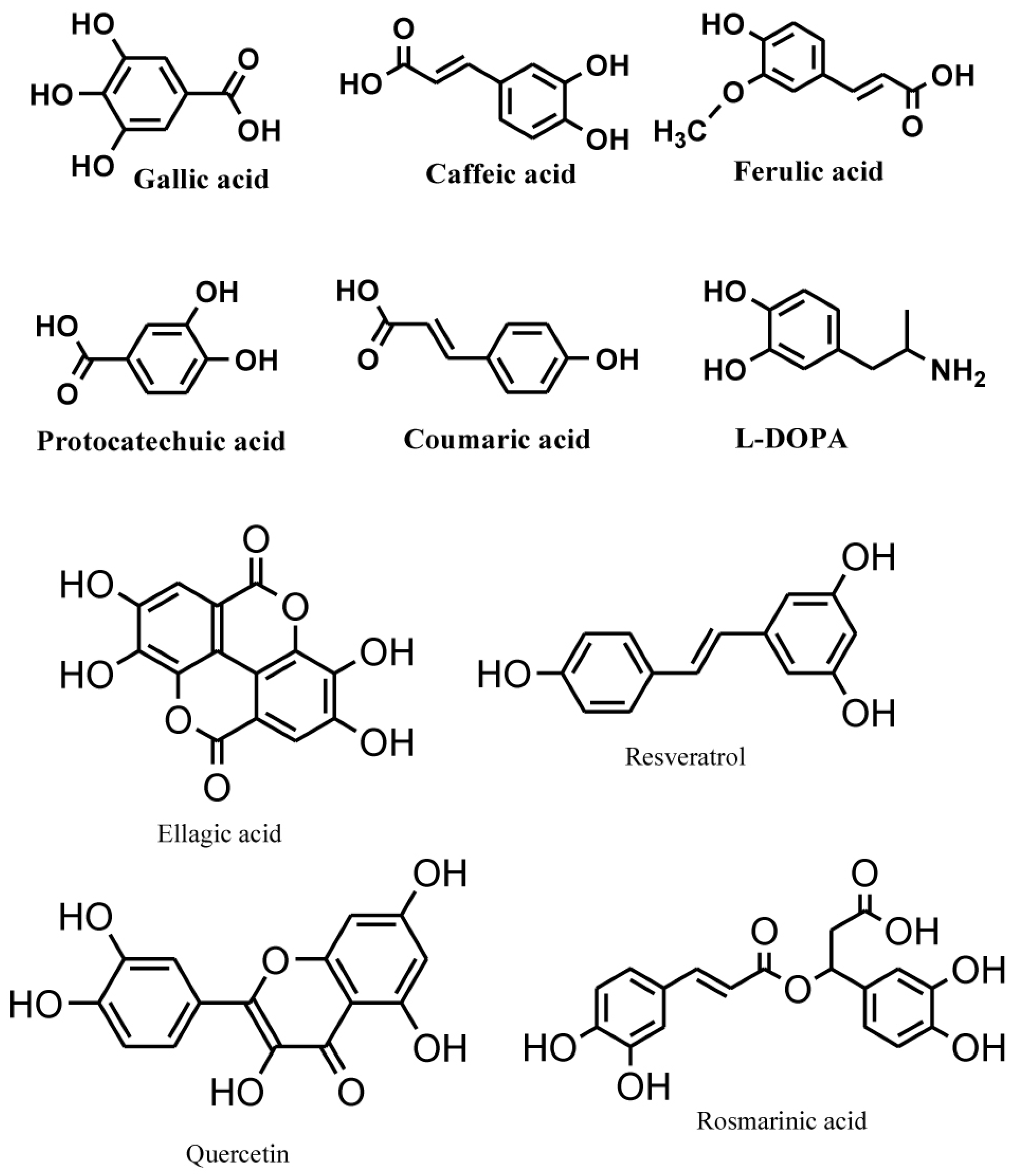 Fungal Food Organic Molecules As Fungal Food Organic Molecules As