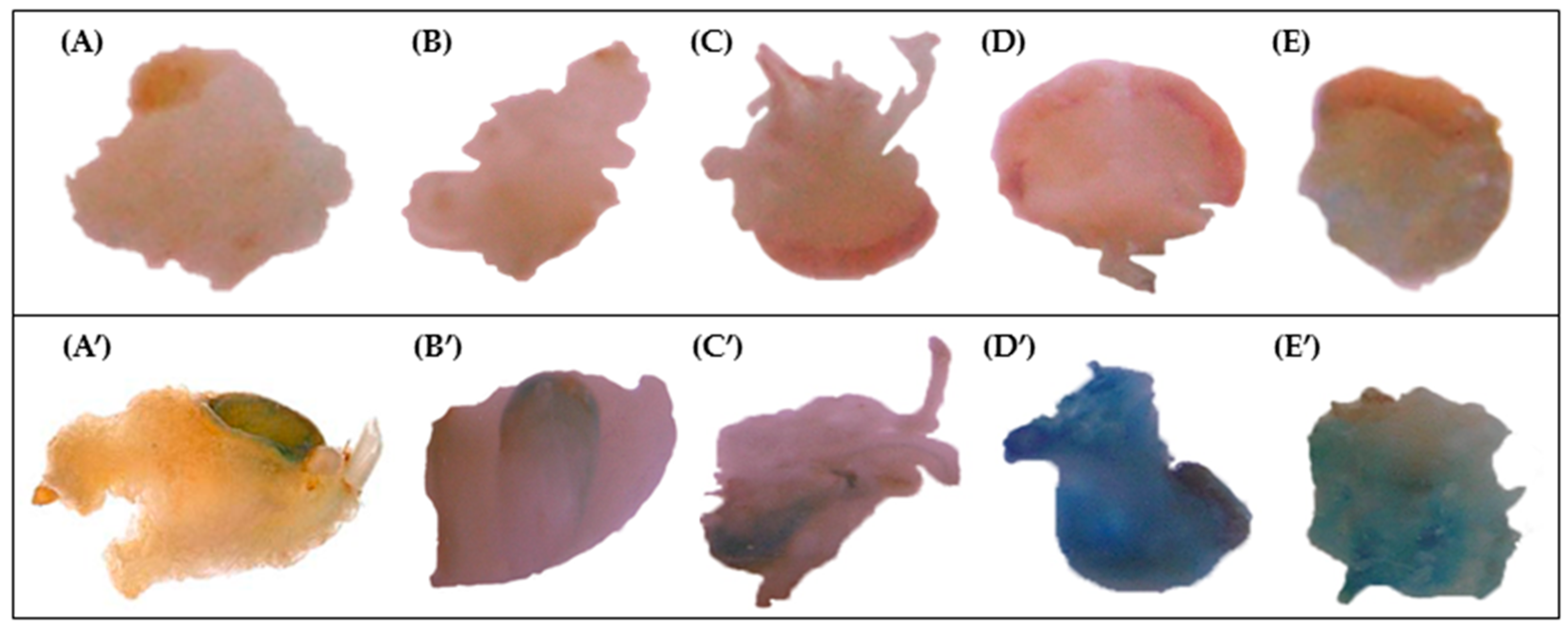 Molecules 21 01440 g002