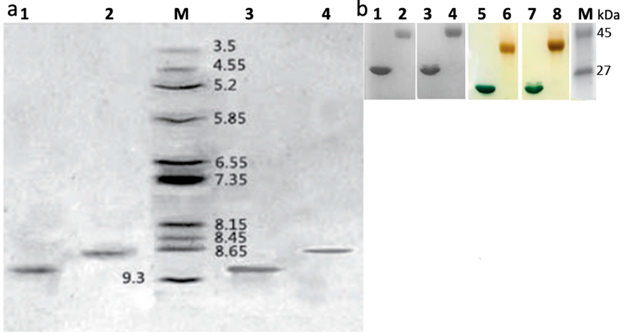 Molecules 21 01457 g004