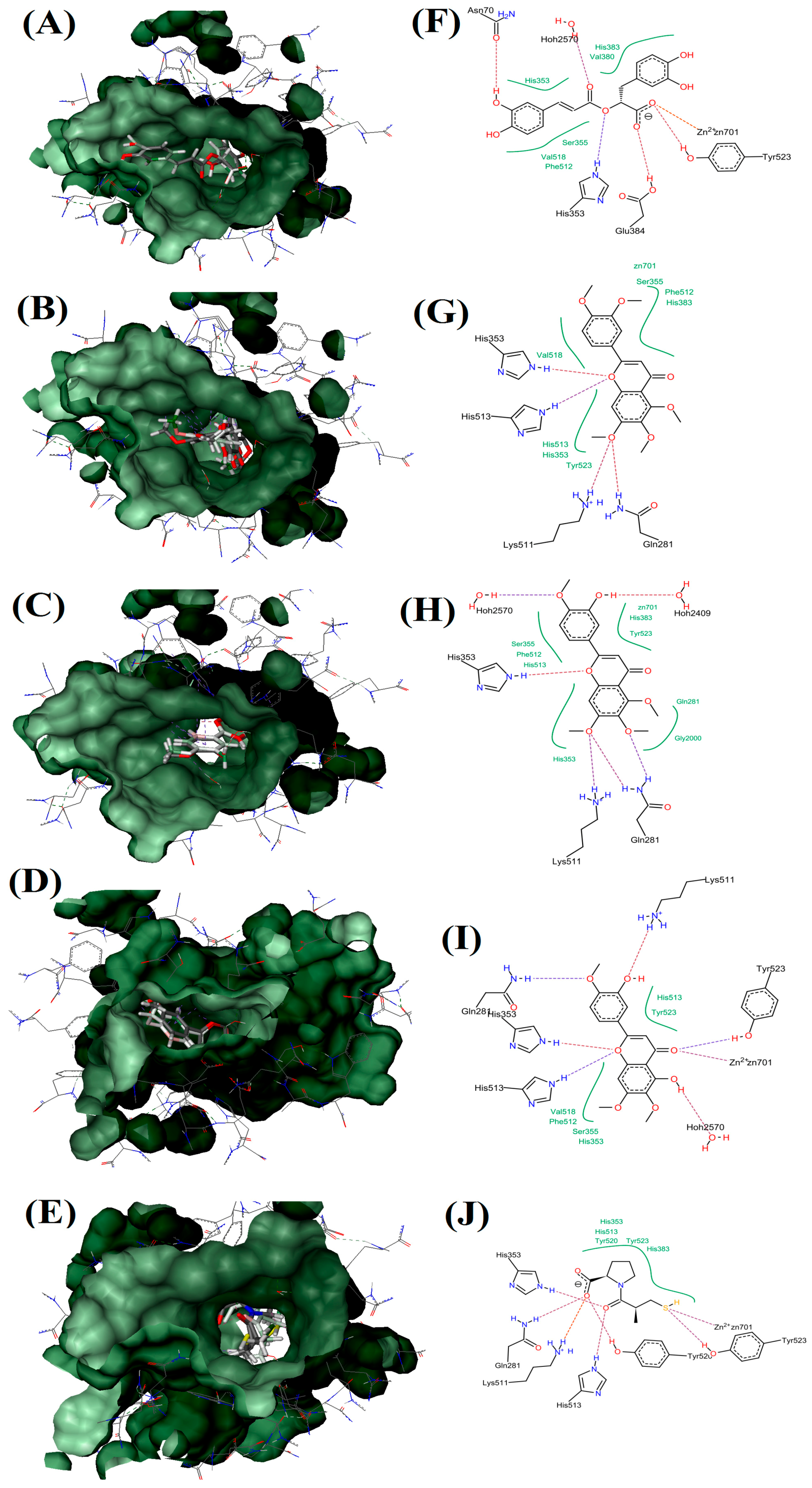 Molecules 21 01500 g006
