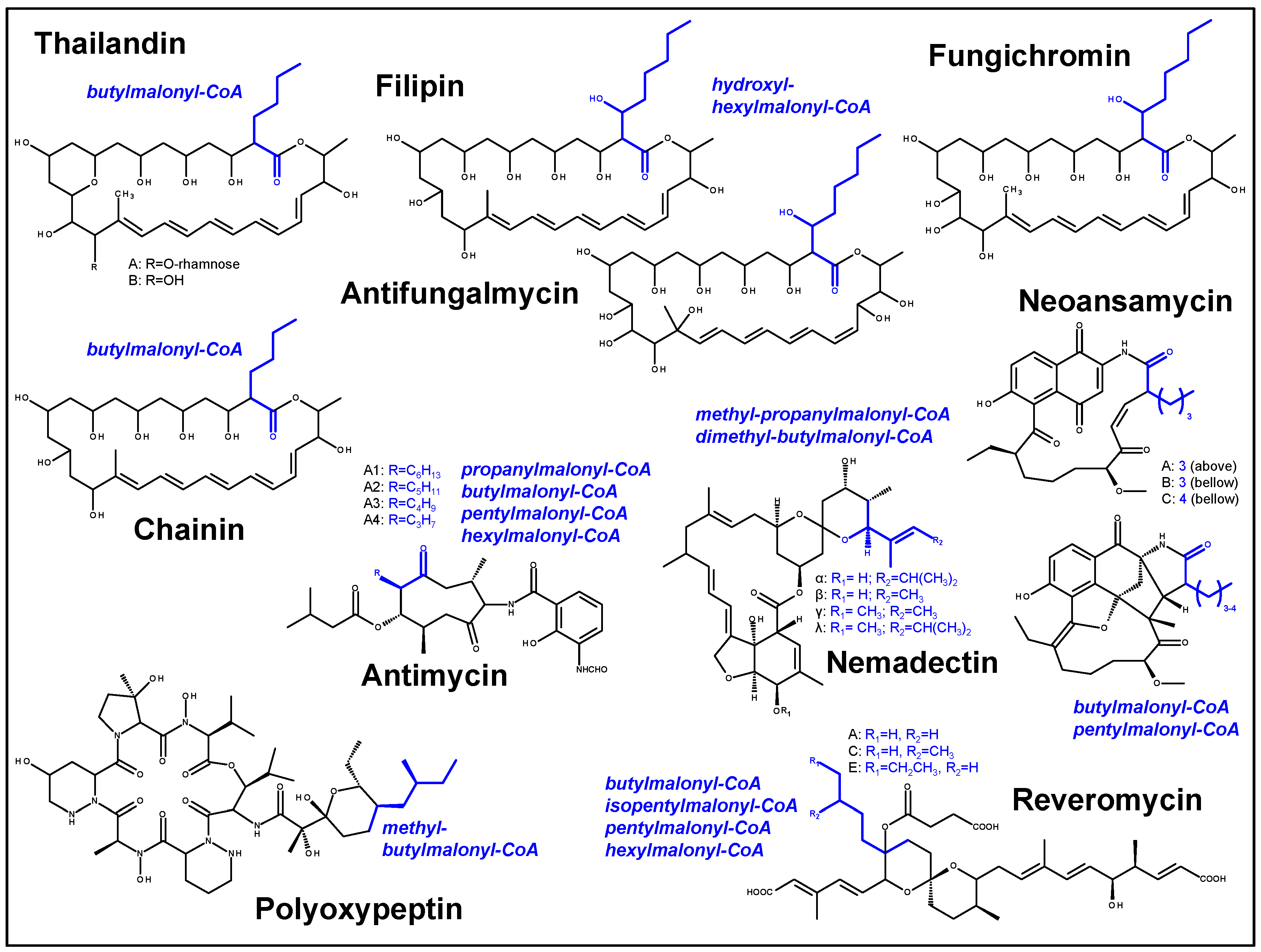 Molecules 21 01607 g005