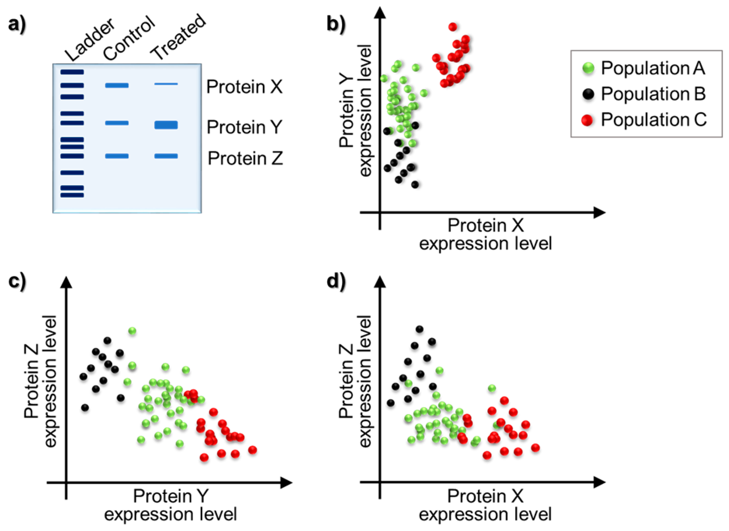 Molecules 21 01617 g002