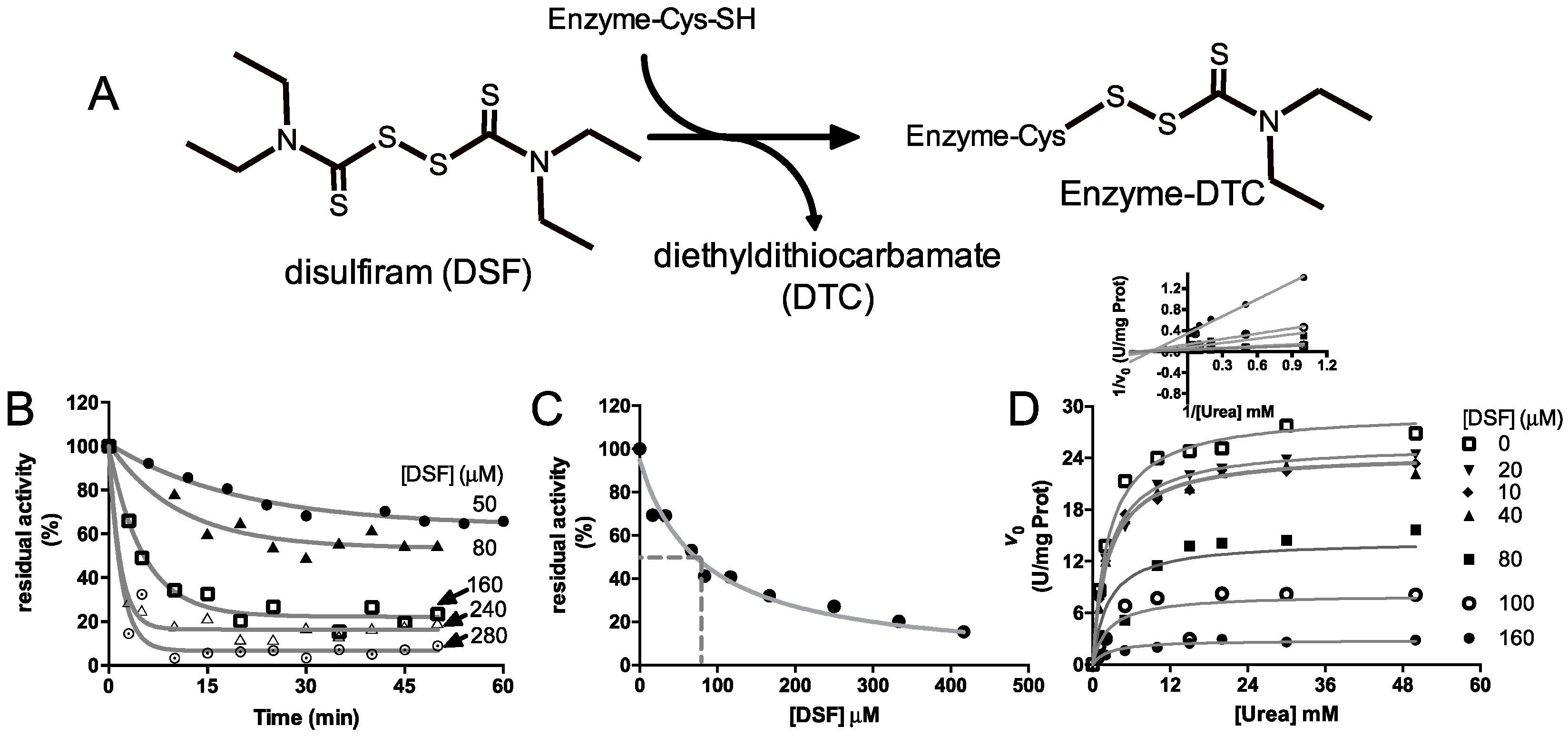 molecules free full text inhibition of urease by disulfiram an disulfiram reaction