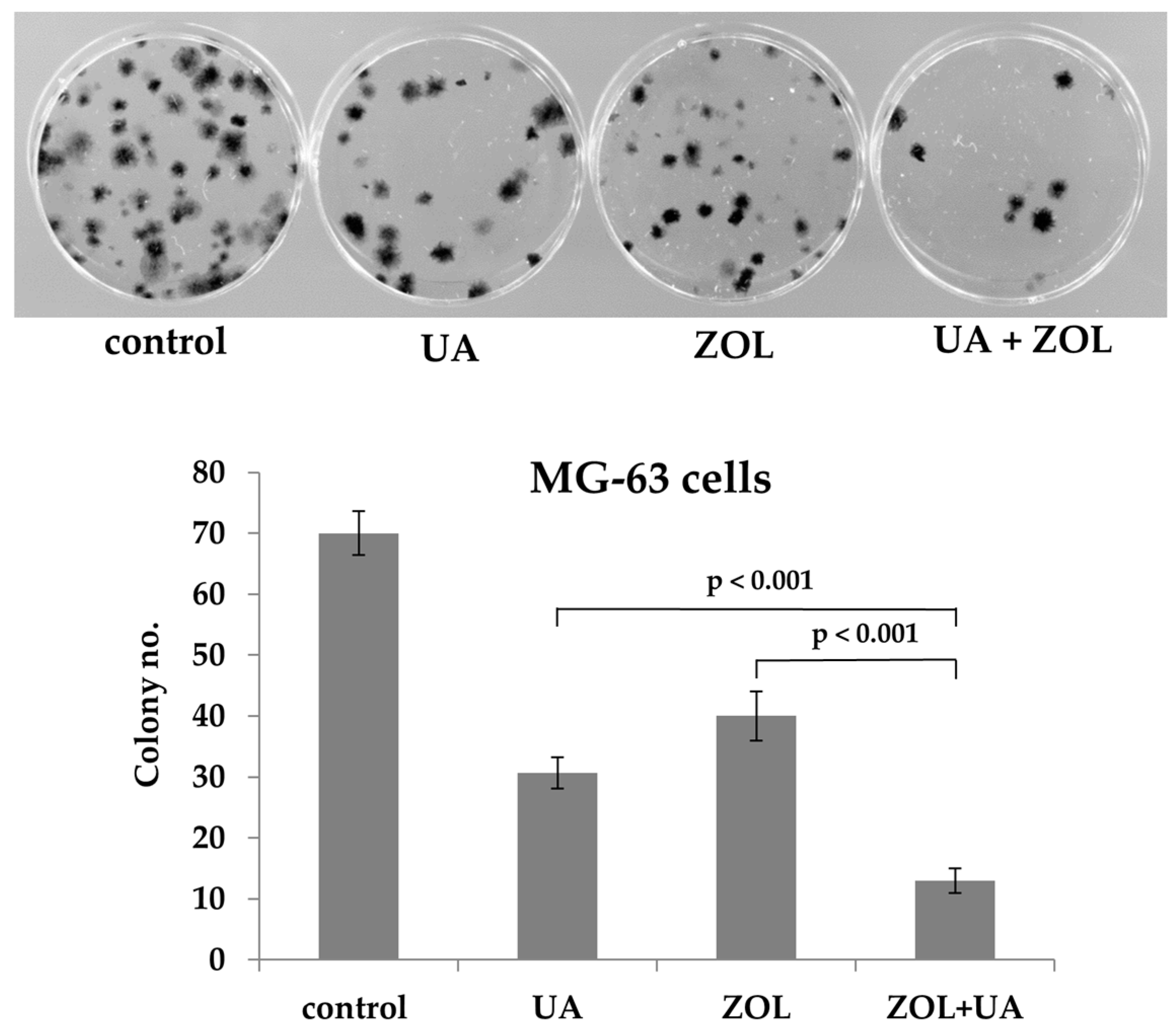 Molecules 21 01640 g003