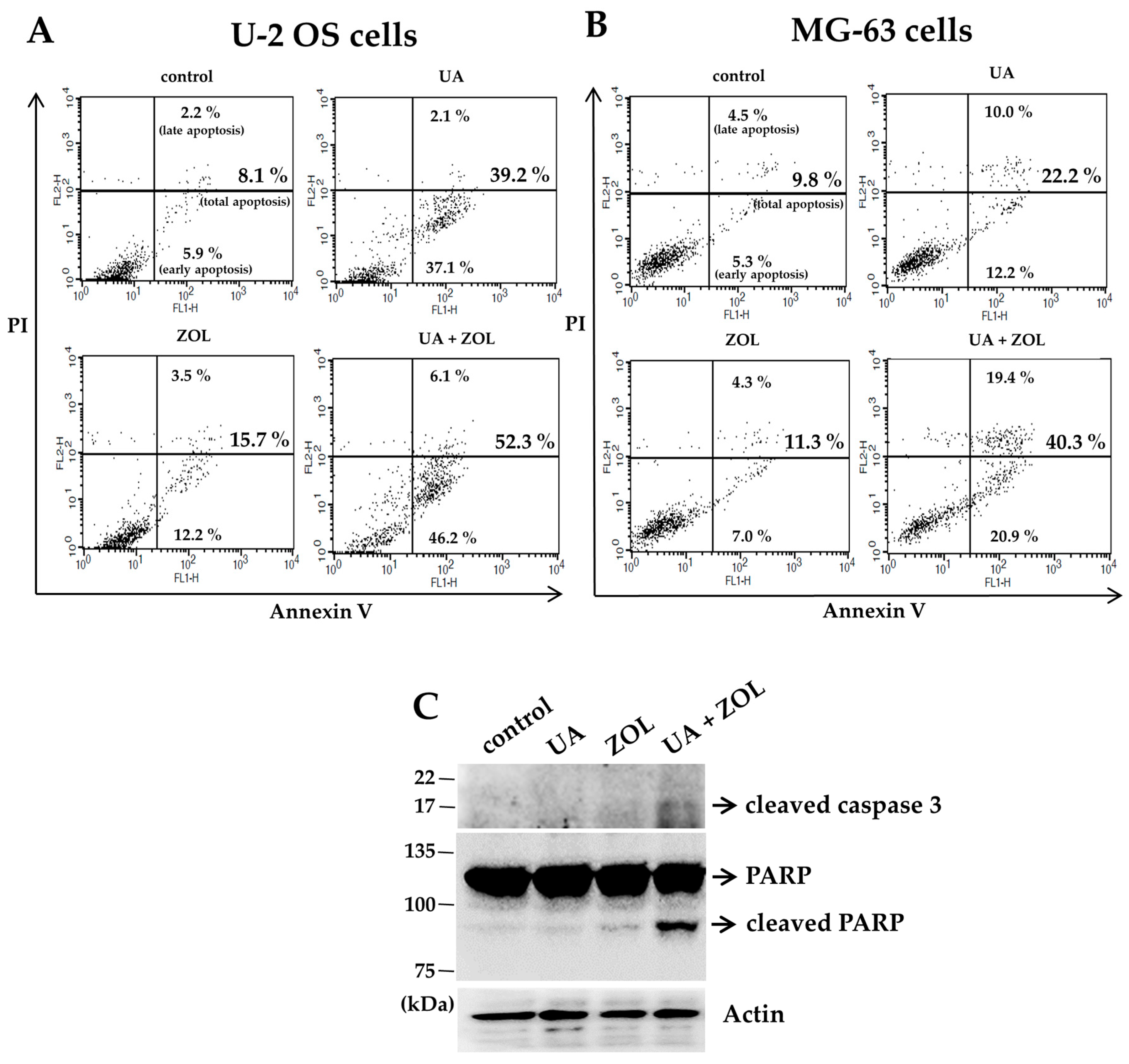 Molecules 21 01640 g004