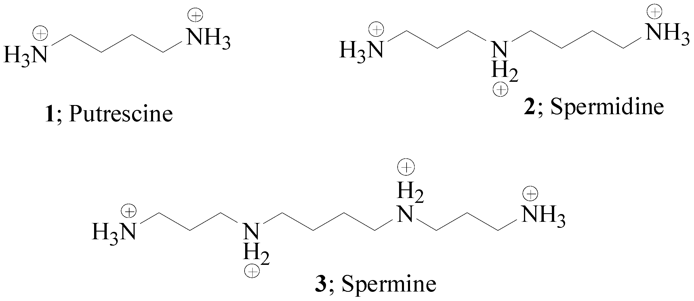 Molecules 21 01726 g001