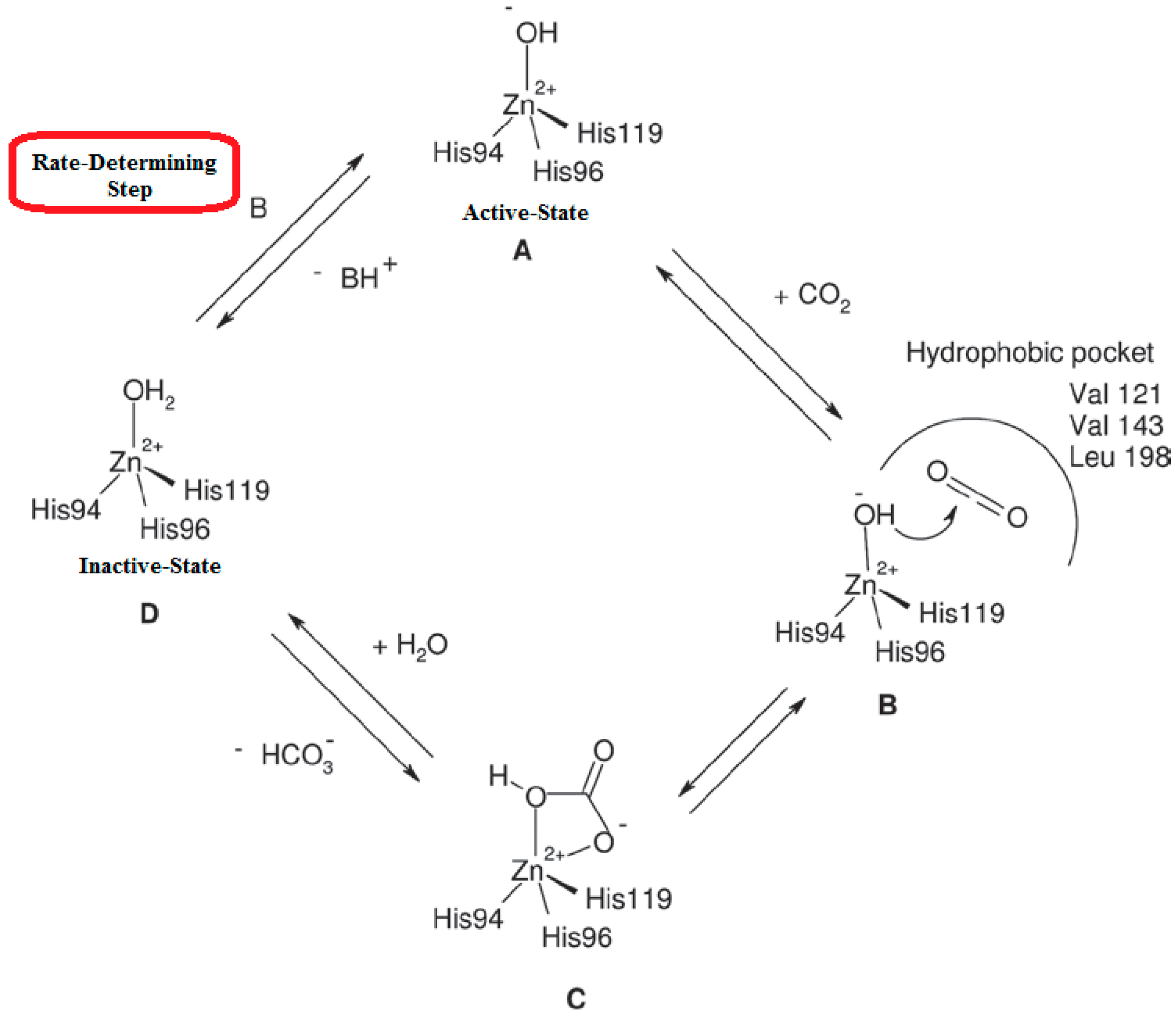 Molecules 21 01726 sch002