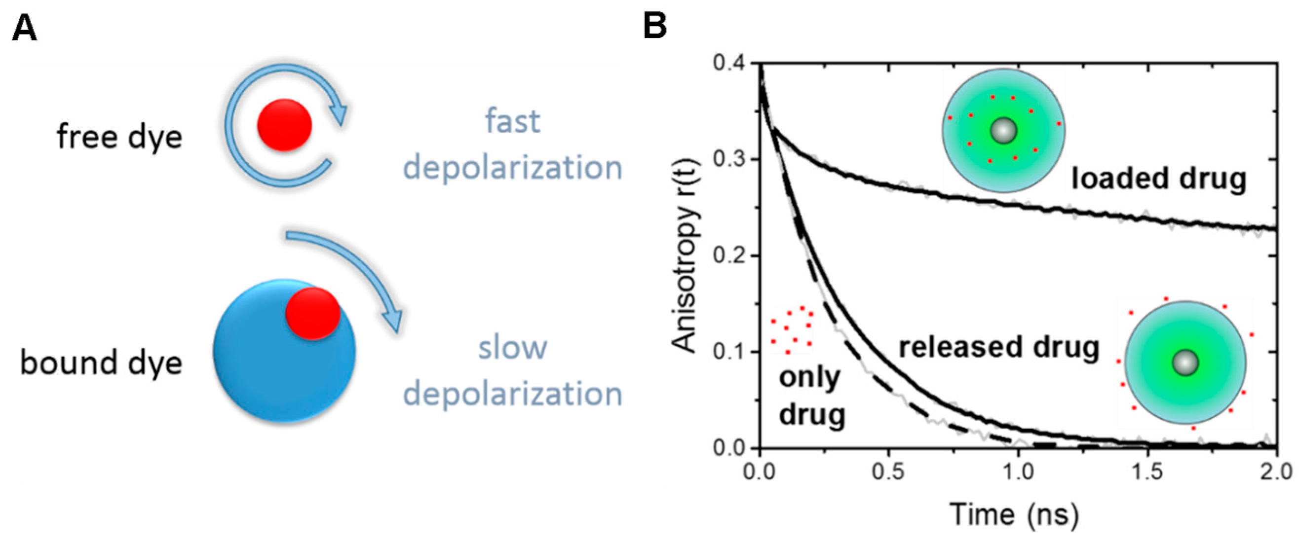 fluorescence spectroscopy